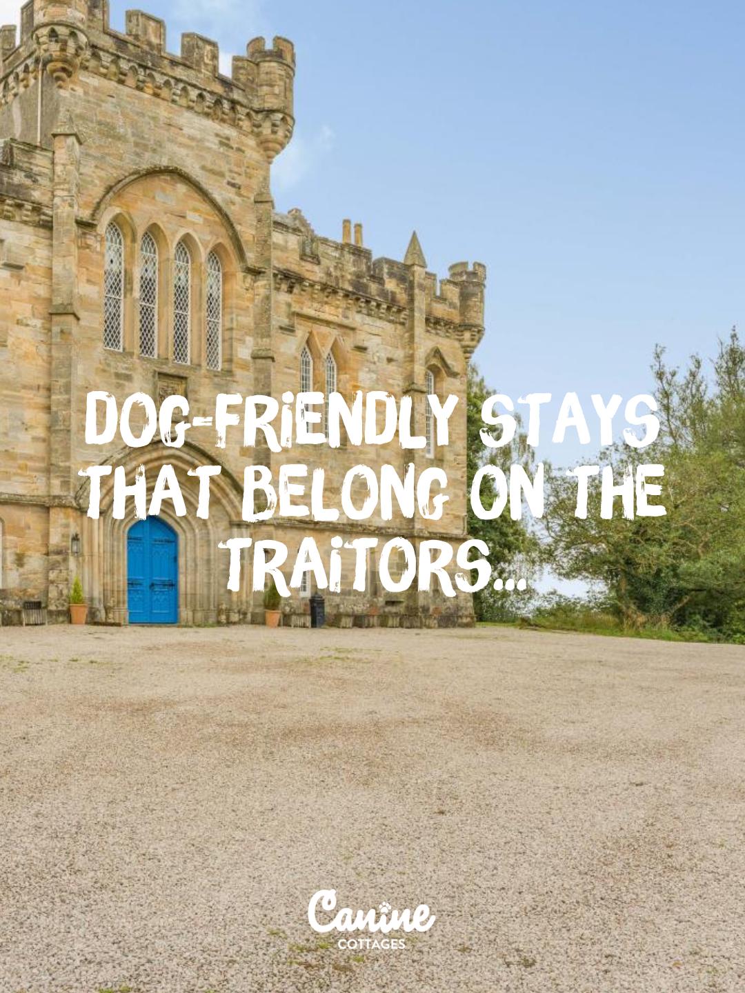 UK Castles Perfect for Dog-Friendly Stays