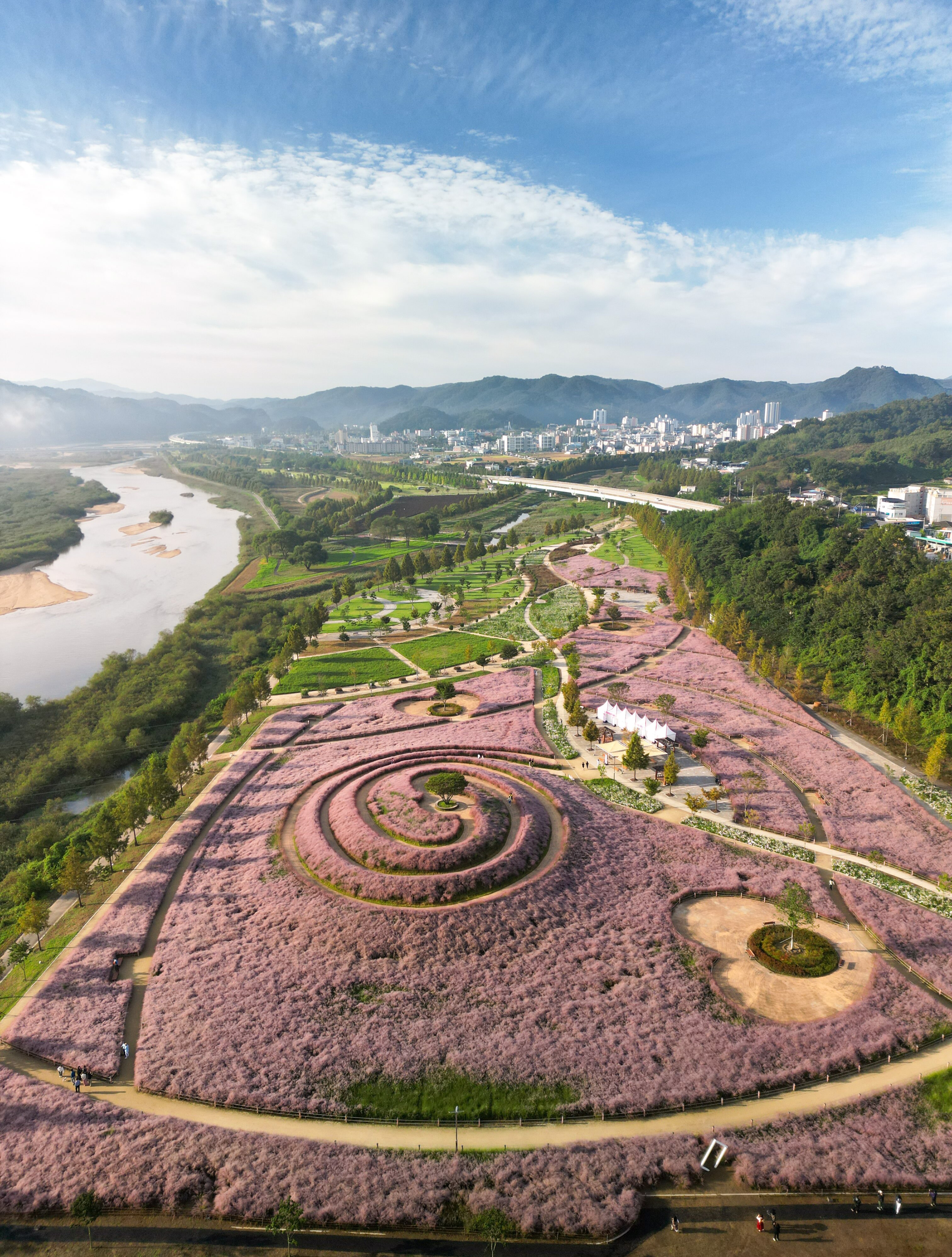 Pink Muhly Fields At Hapcheon Shinsoyang Sports Park