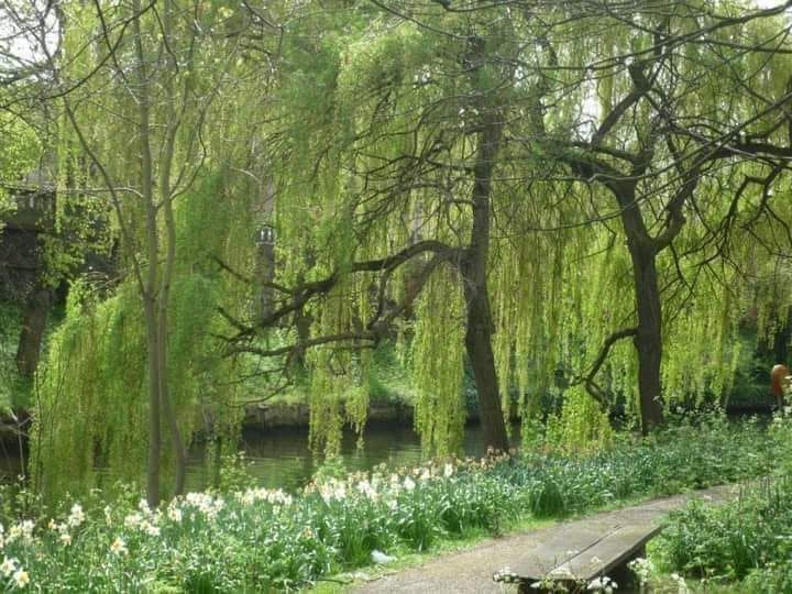 Norwich's Green Spaces For New Year Walks