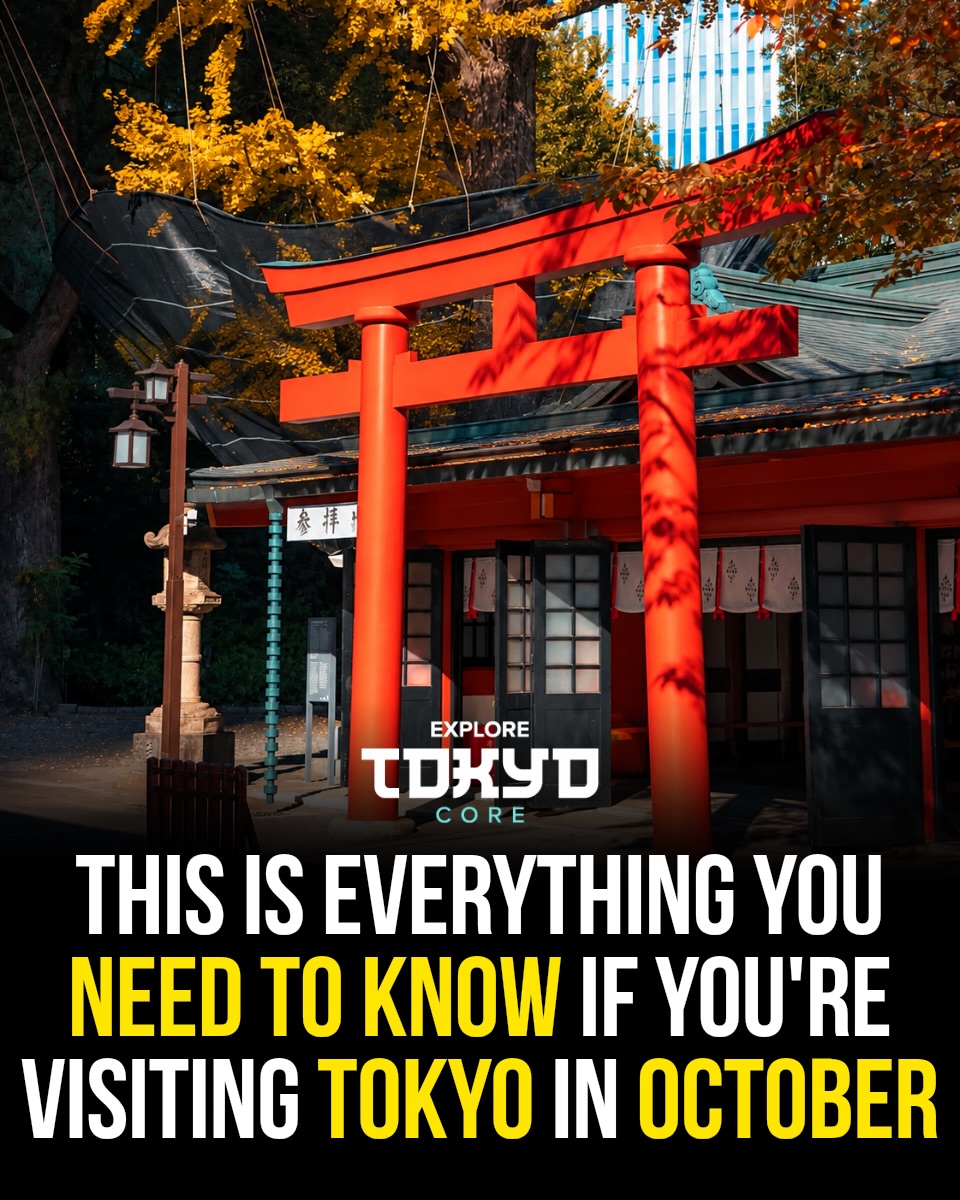 Tokyo's Top 10 Nature Spots and Day Trips