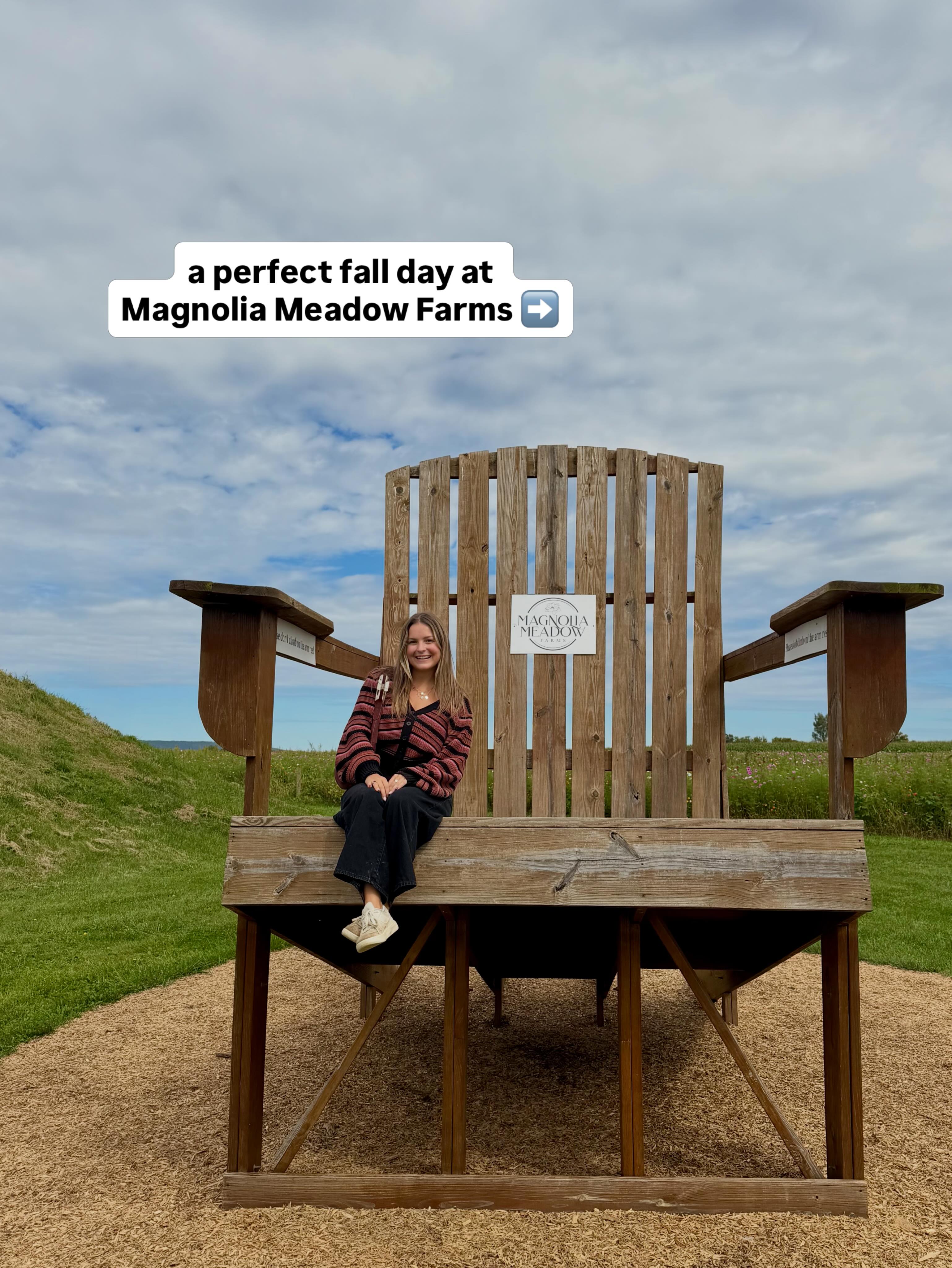 Magnolia Meadow Farms: Fall Fun and Activities