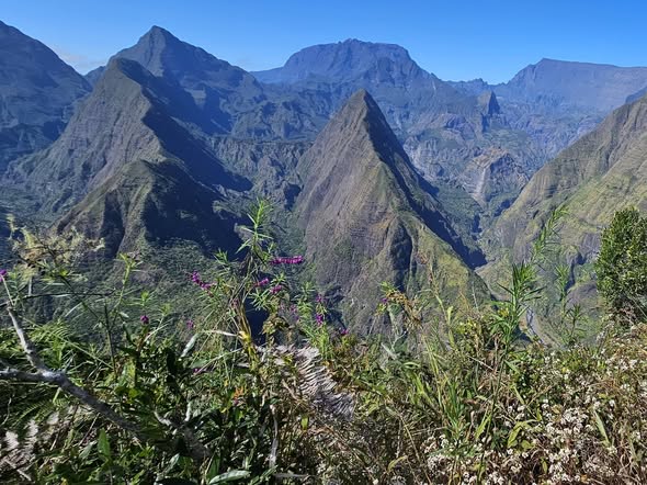 Réunion Island Trek: Peaks, Forests, and Canyons