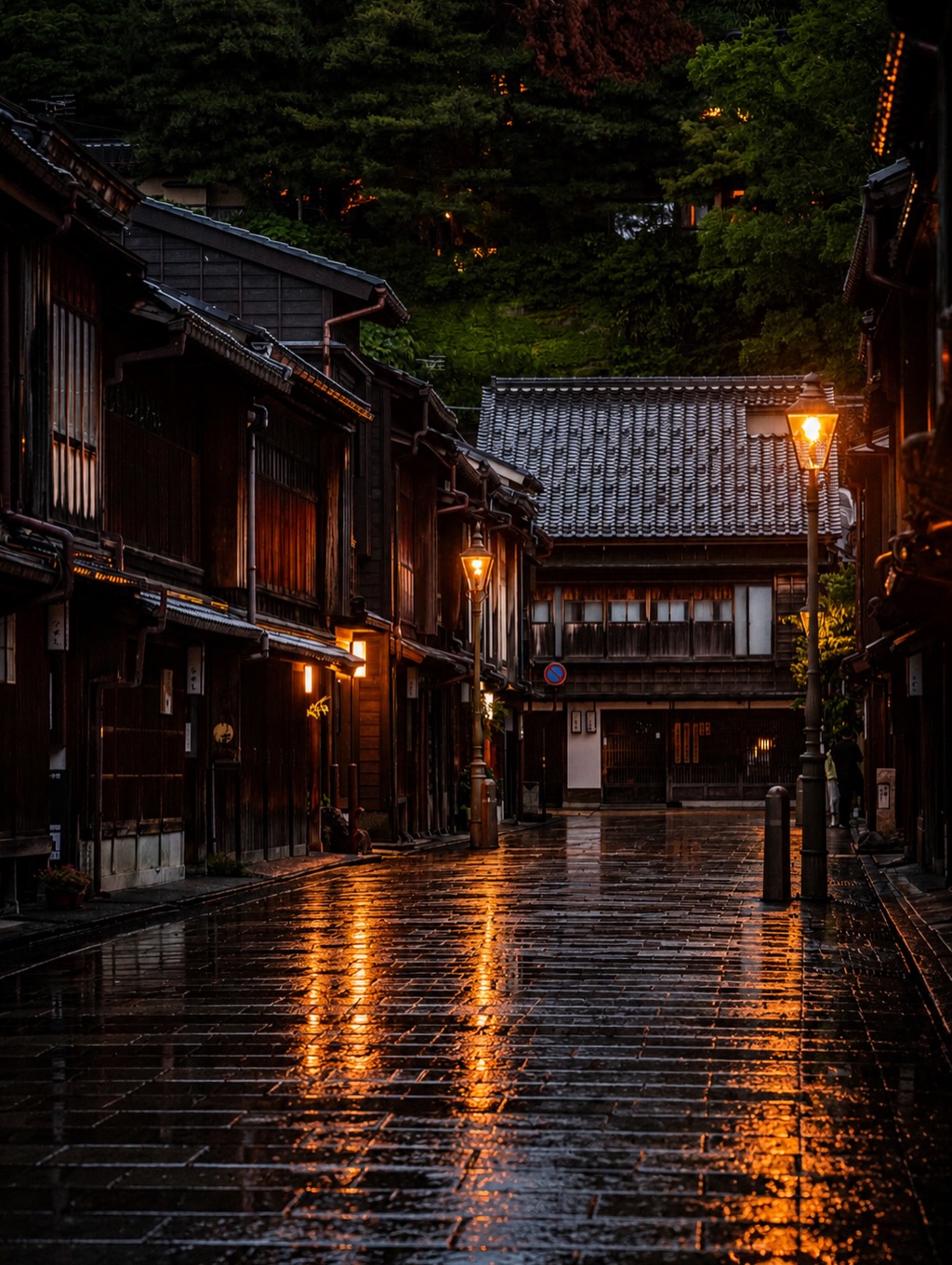 Kanazawa's Historic Higashi Chaya District on a Wet Day