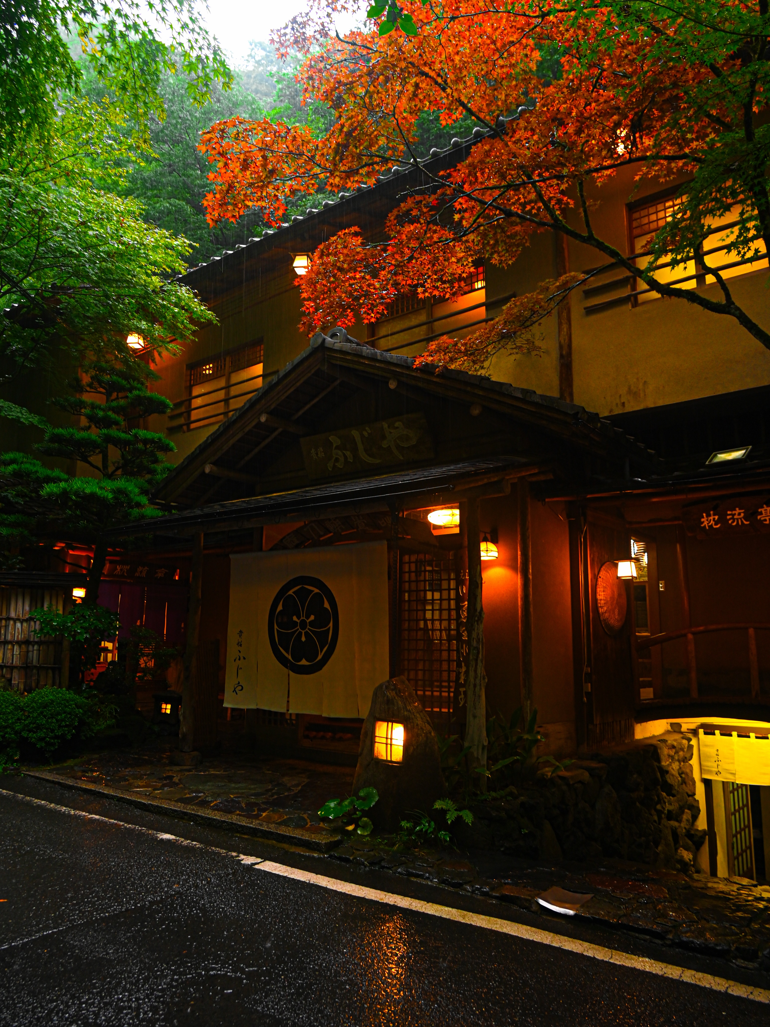 Kifune Shrine's Greenery Season Serenity