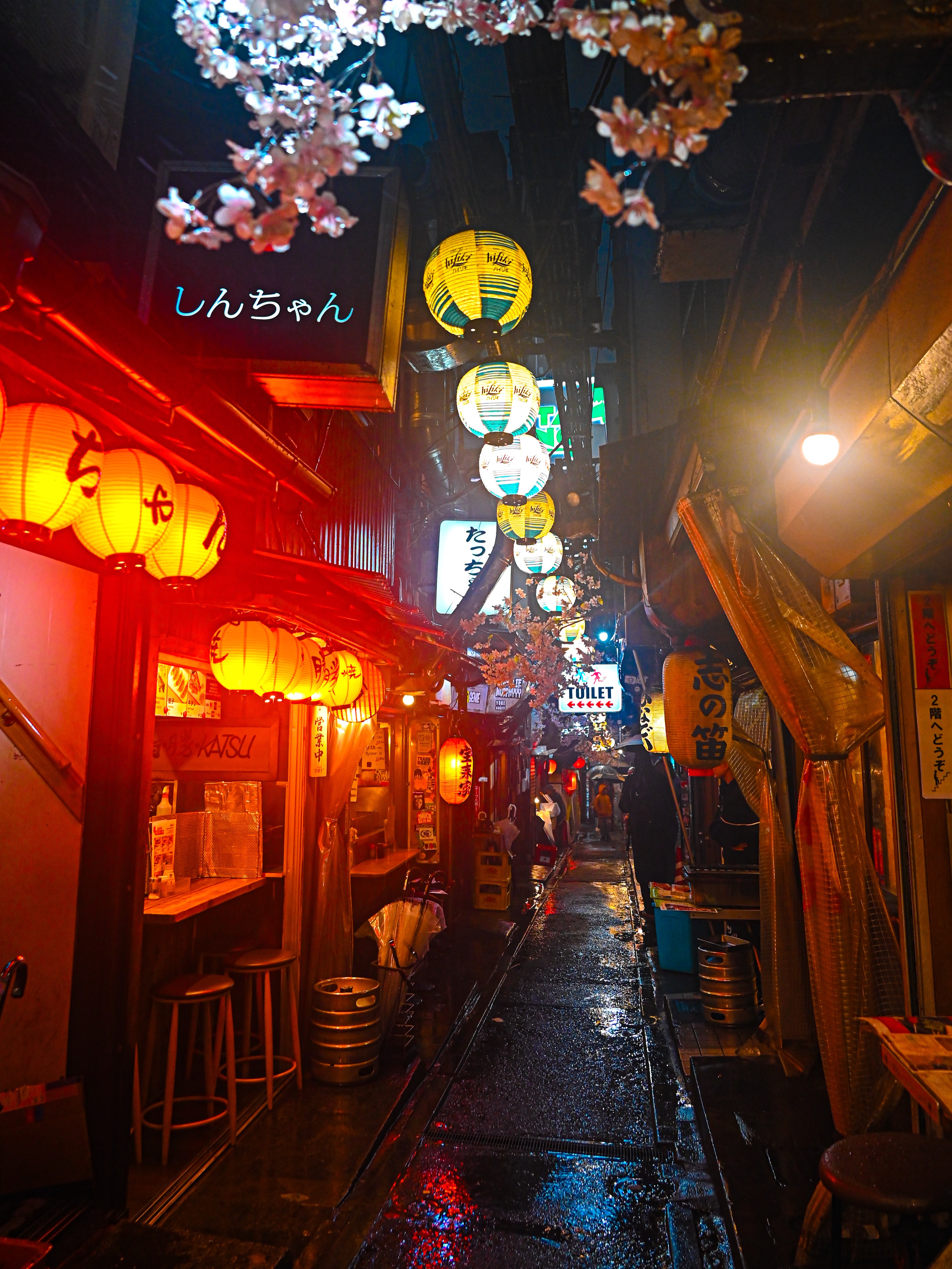 Omoide Yokocho, A Tokyo Alley