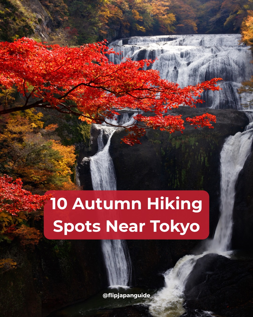 Autumn Hikes Near Tokyo For Day Trips