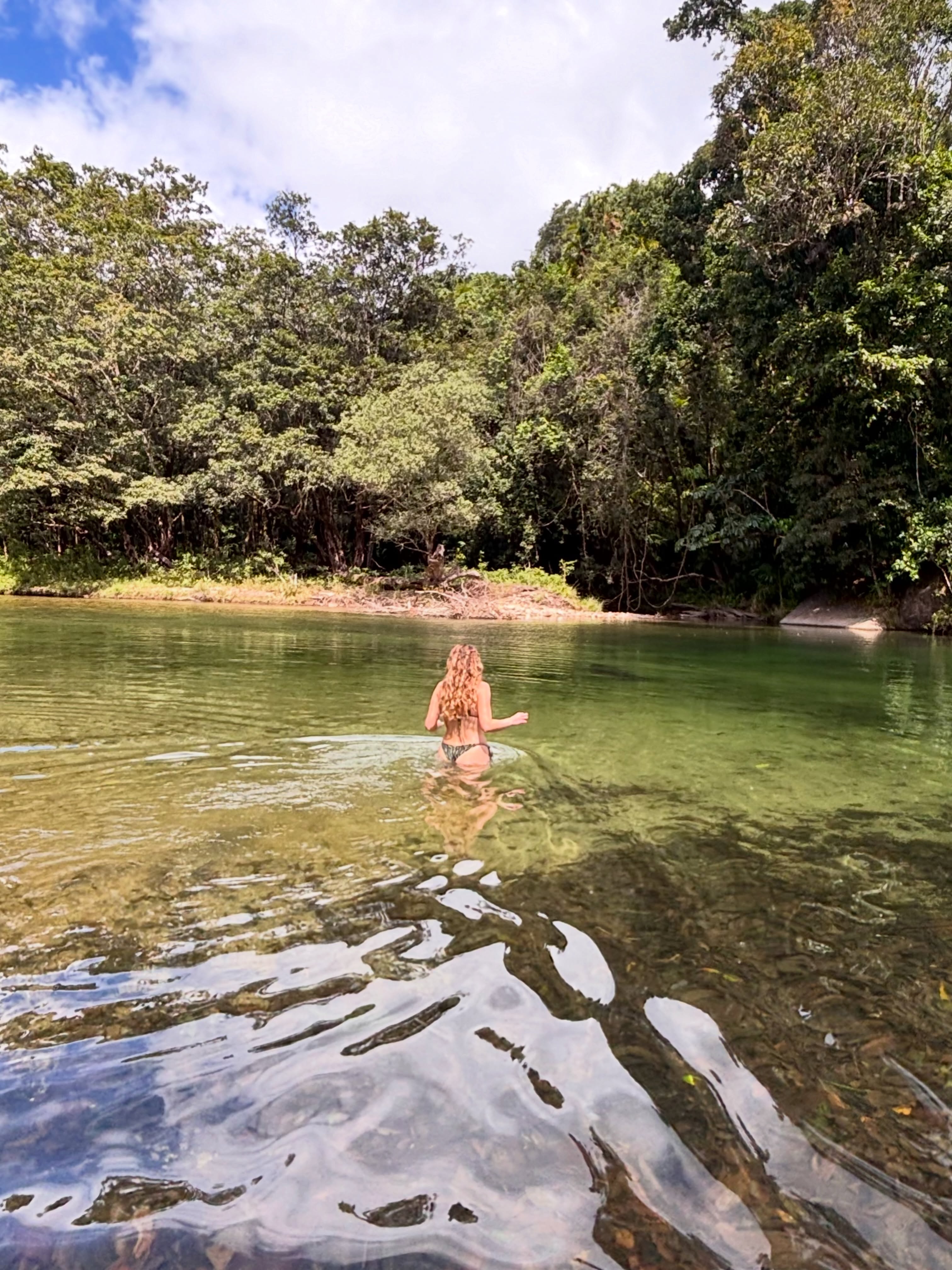 Daintree River Offers Crocodile-Free Swimming