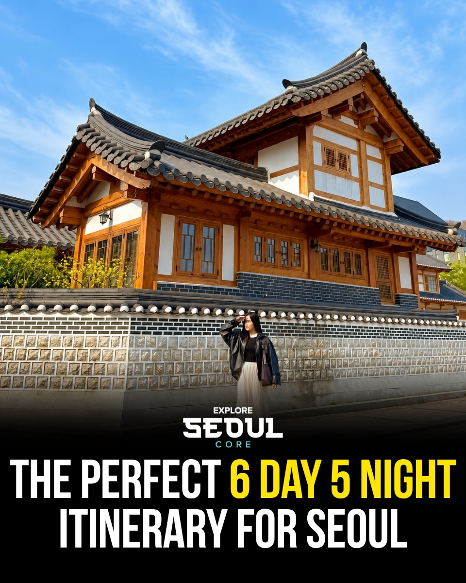 Seoul Exploration: Palaces, Parks, and Shopping Streets
