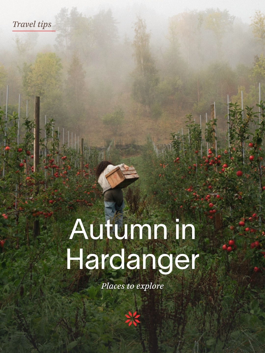 Hardanger's Waterfalls, Fjords, and Hiking Trails