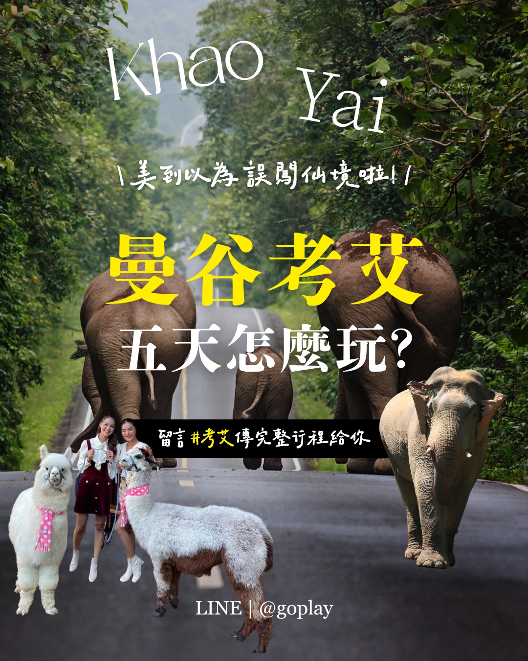 Khao Yai National Park and Exotic Animal Attractions