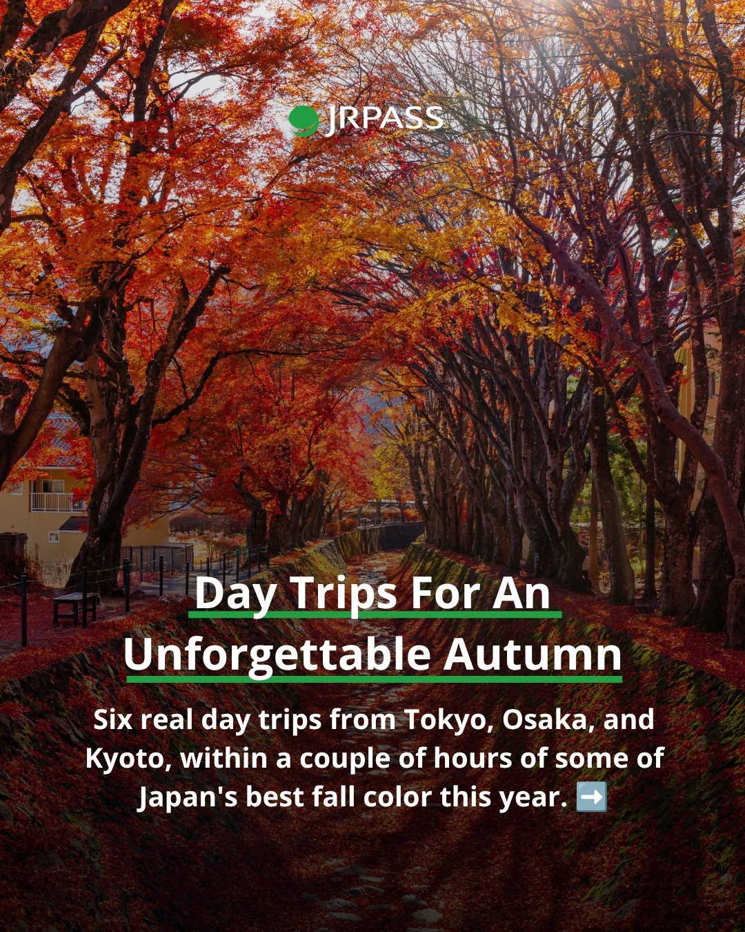 Autumn Colors: Day Trips From Tokyo, Osaka, Kyoto