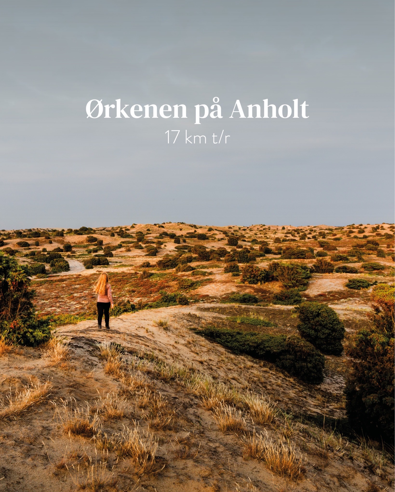 Anholt Island's Desert, Lighthouse, and Beaches