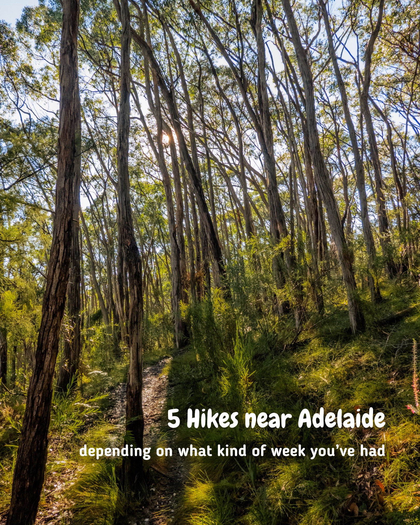 Adelaide Hikes Matched To Your Week