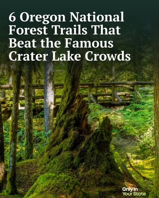 Crater Lake National Forest's Scenic Waterfall Hikes