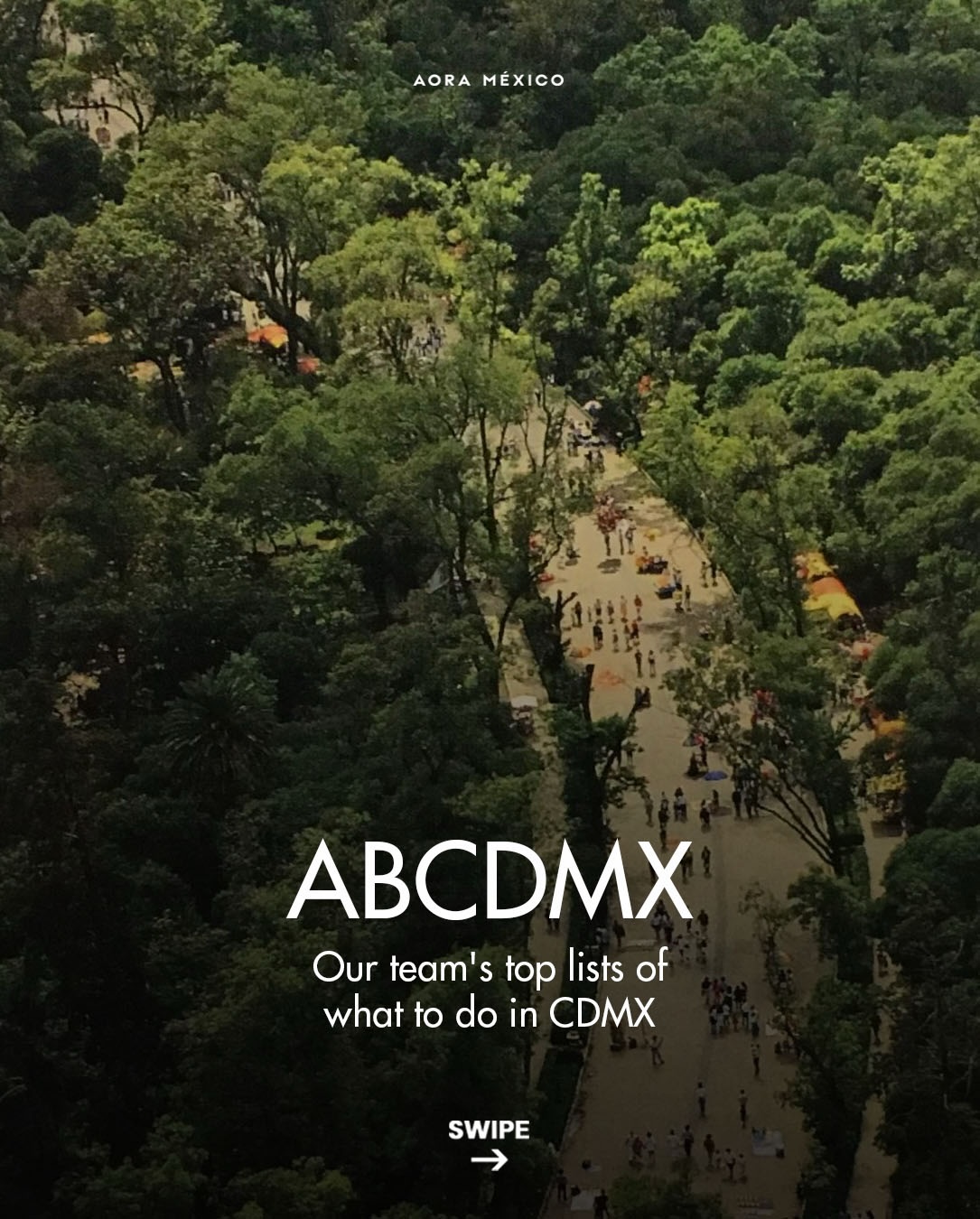 CDMX Favorites From an Opinionated Team