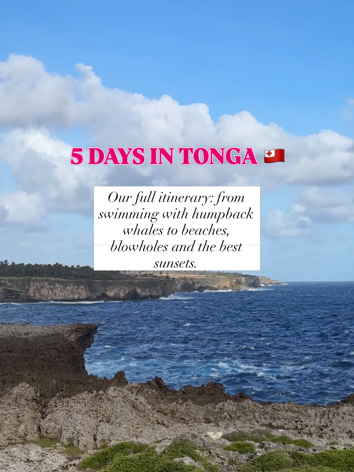 Tonga's Natural Wonders and Local Flavors