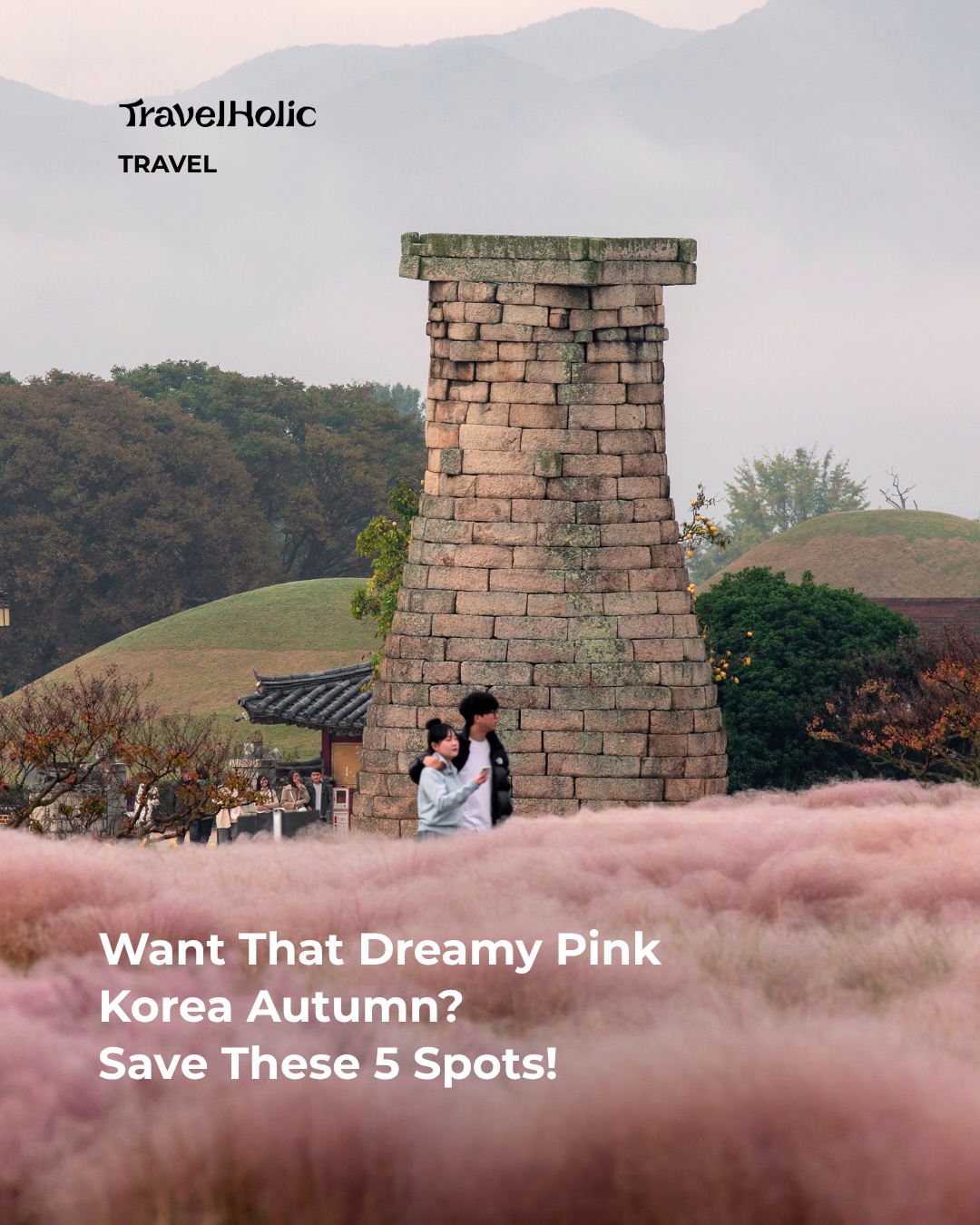 Autumn Pink Muhly Fields Across Korea