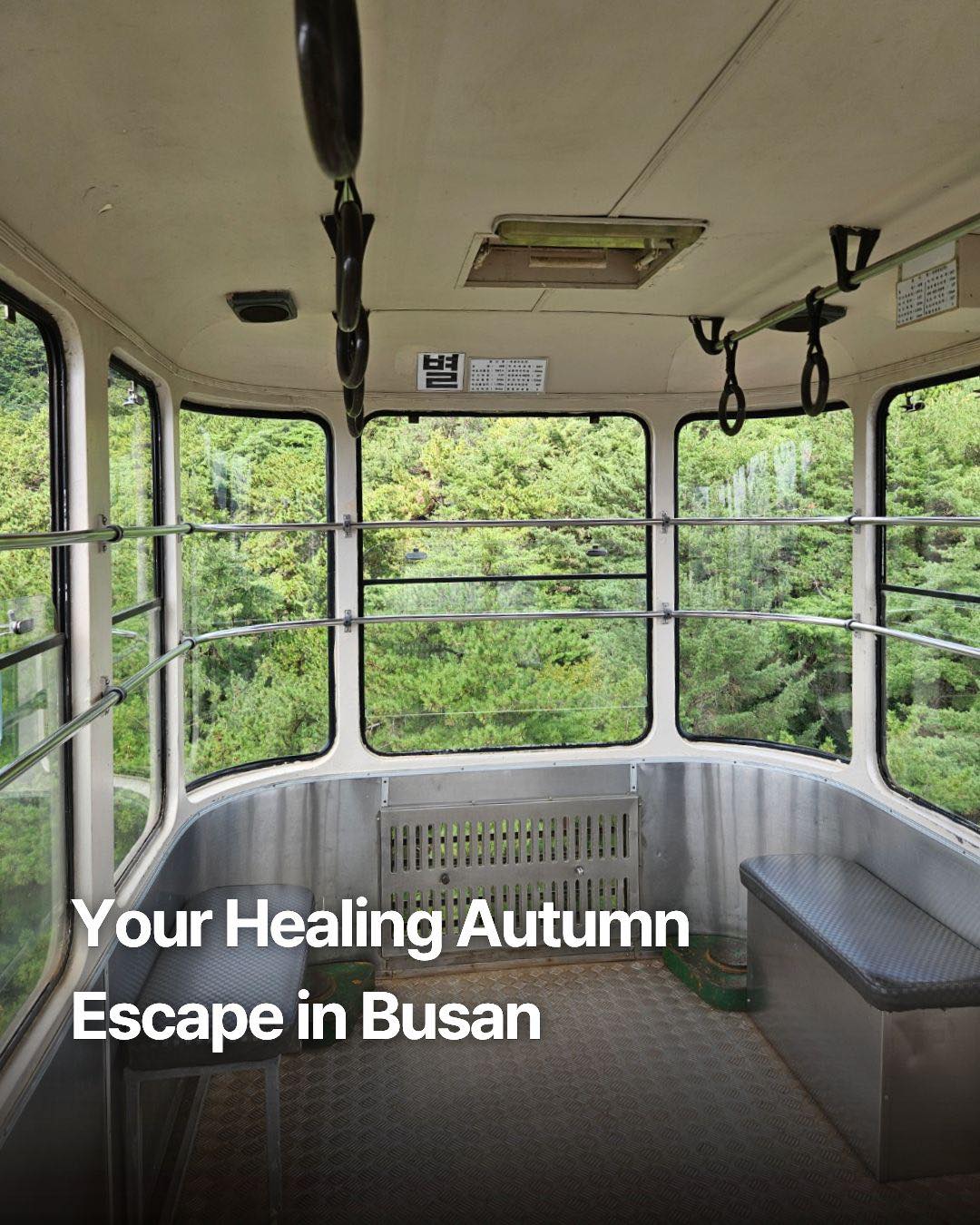Busan Autumn Trails And City Views