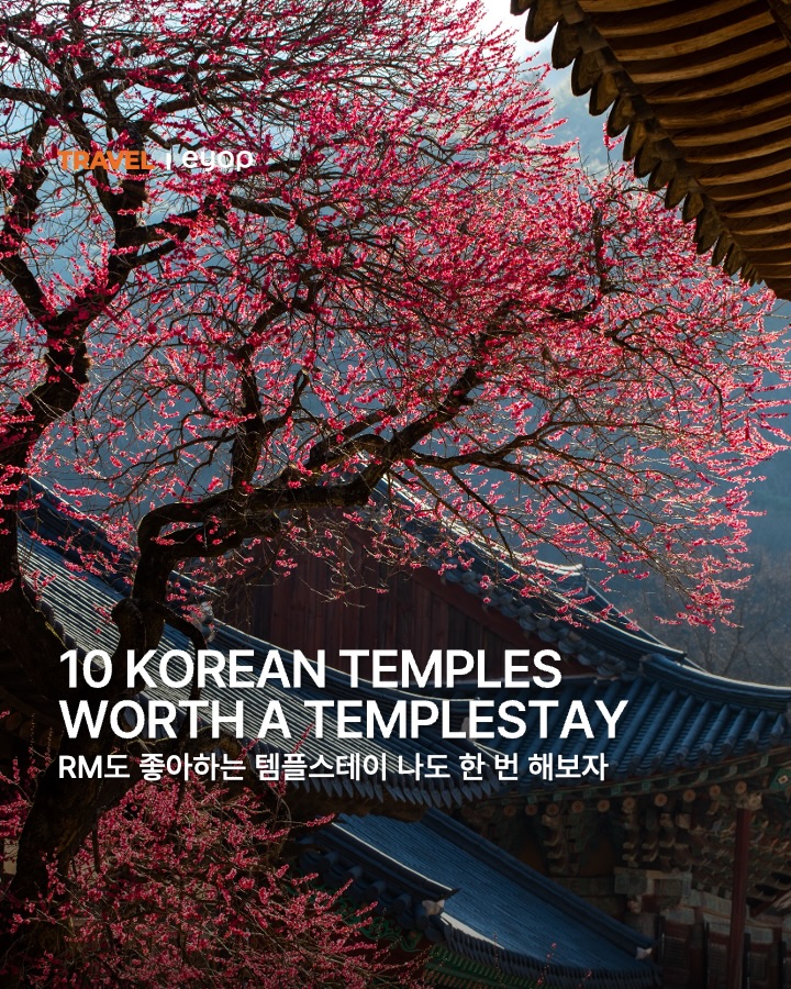 Autumn Temples For A Quiet Korean Templestay