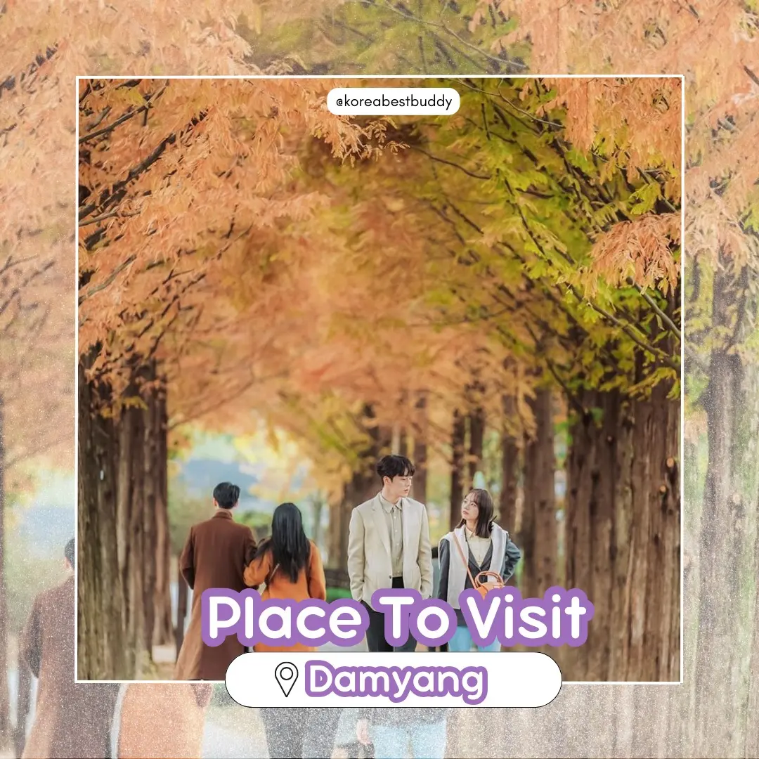 Damyang Attractions: Bamboo Forest, Road, Fortress