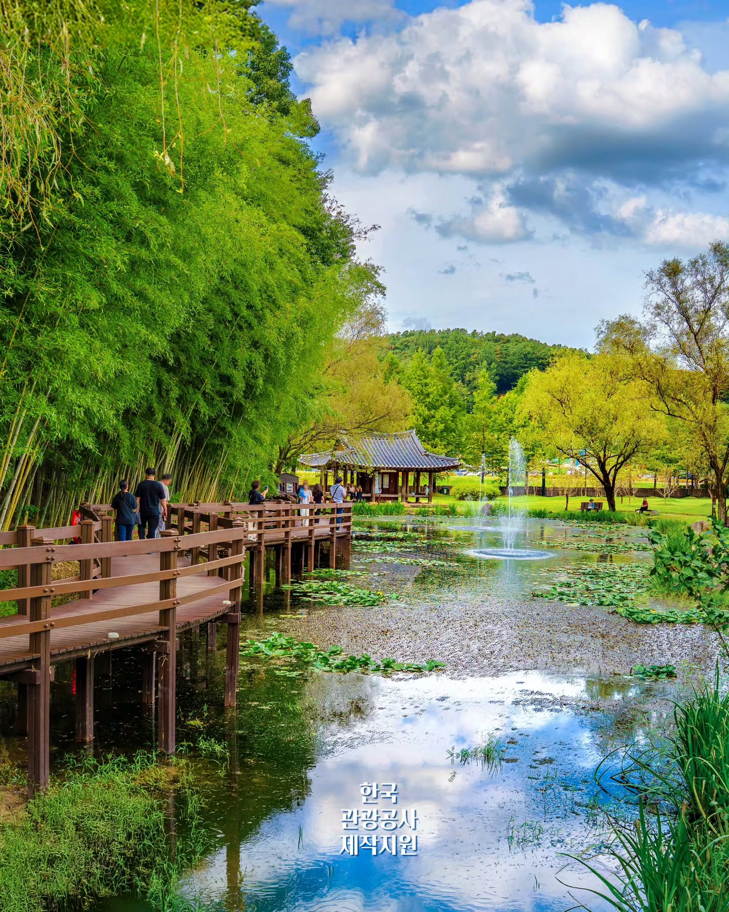 Damyang's Bamboo Forests and Tree-Lined Paths