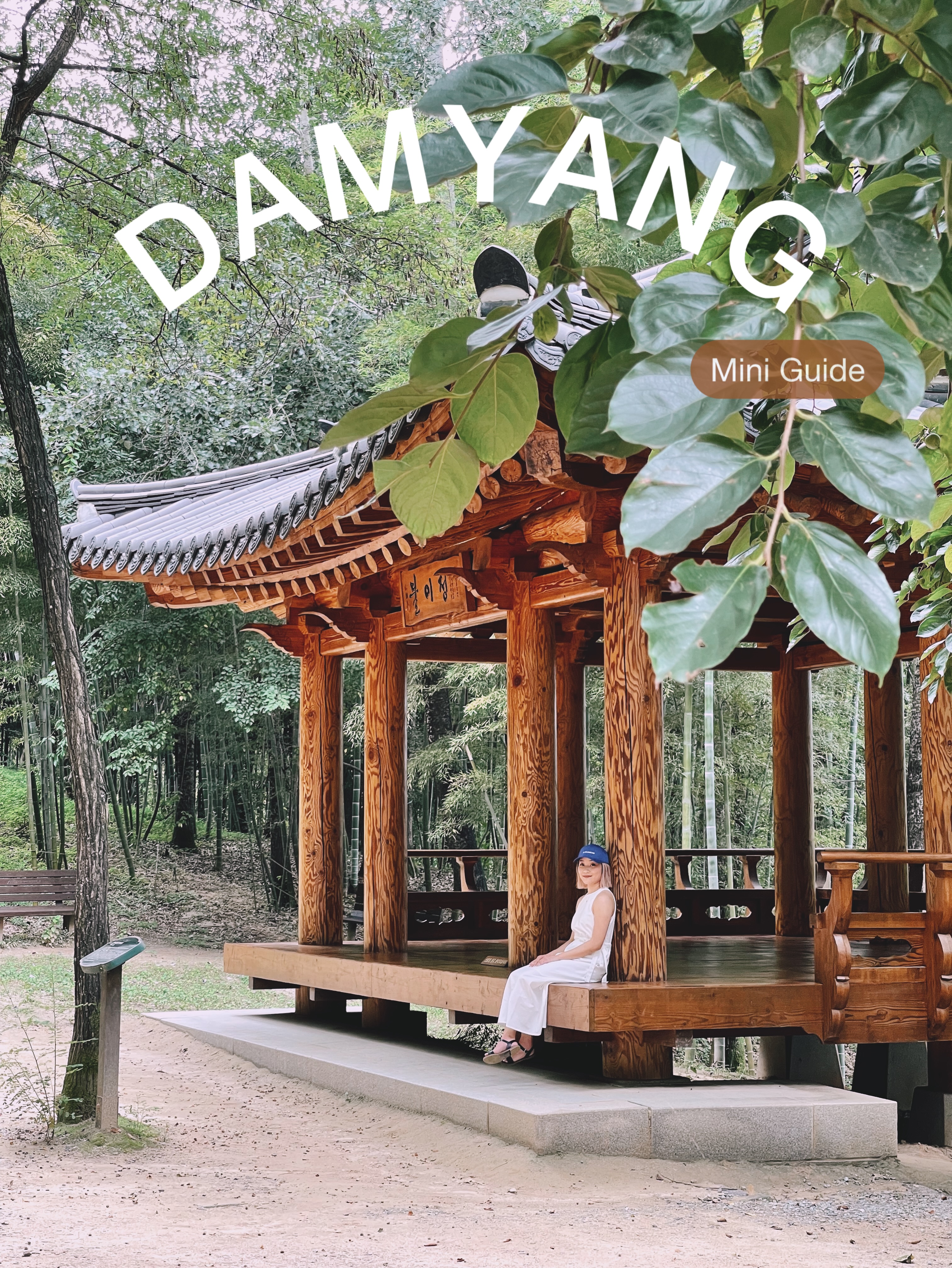 Damyang Travel Guide: Bamboo, Food, and Glamping