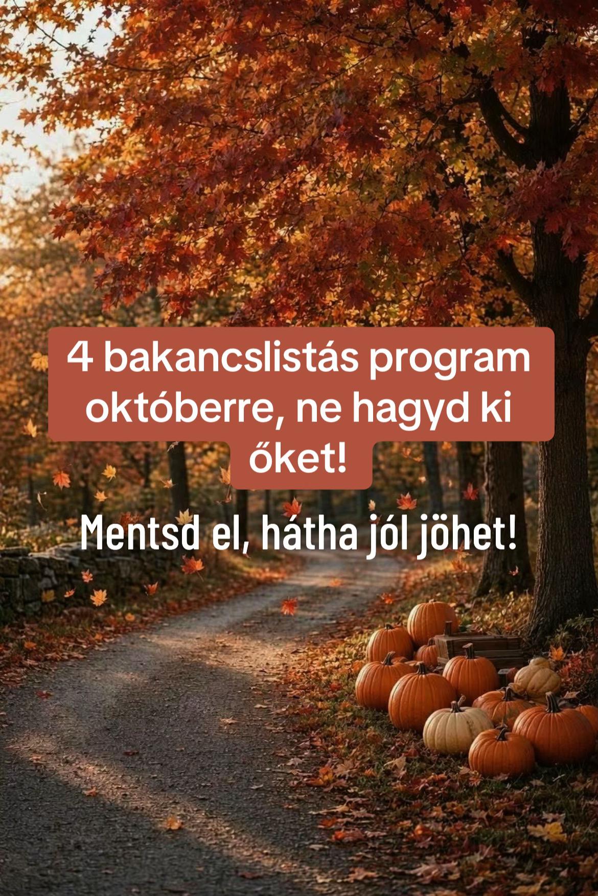 Hungarian Autumn Activities: Garden and Bear Farm