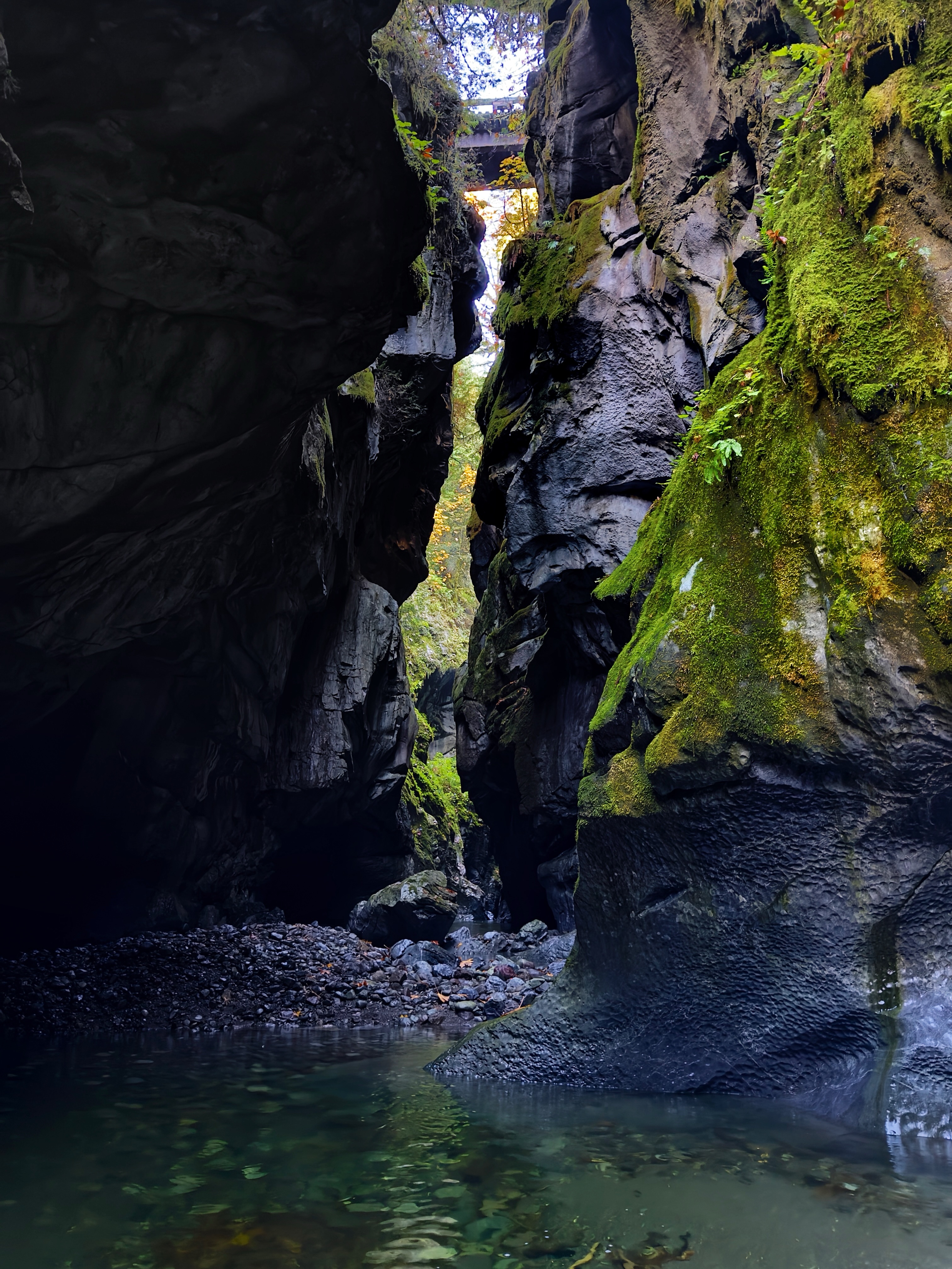 Vancouver Island's Rugged Natural Wonders Explored
