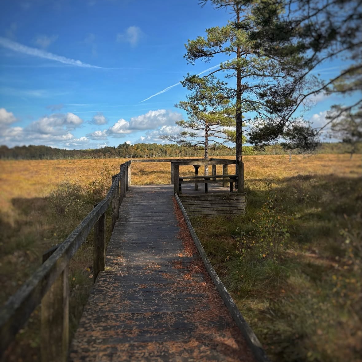 Skåne Hiking Trails Through Nature