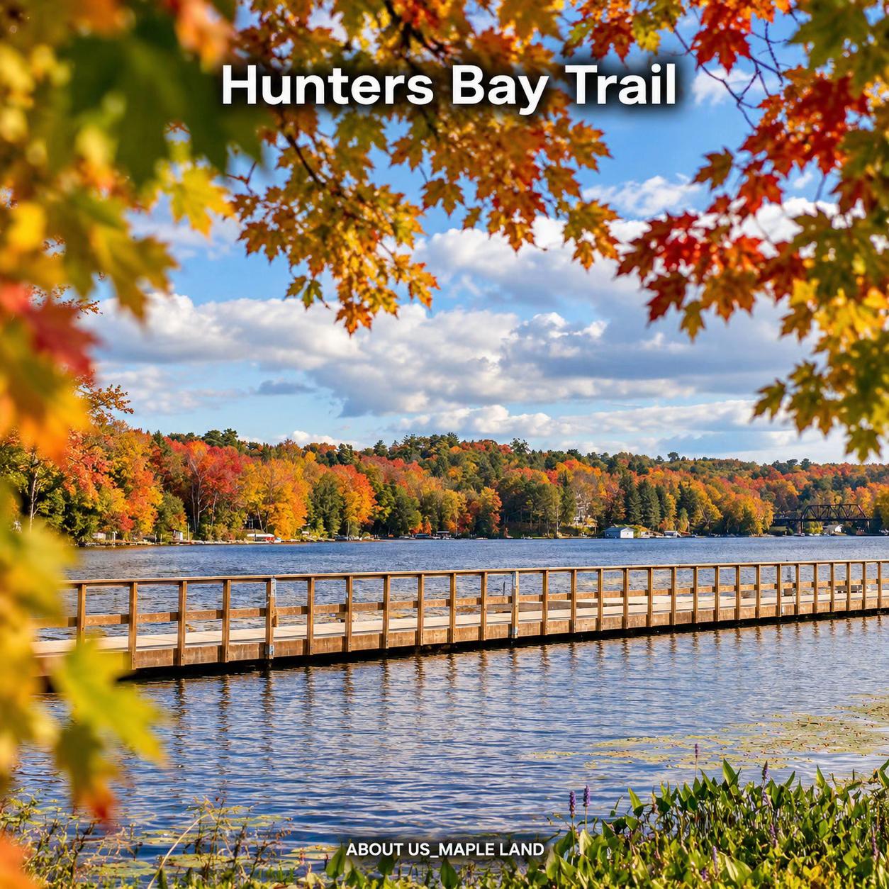 Muskoka's Best Autumn Color Viewing Spots