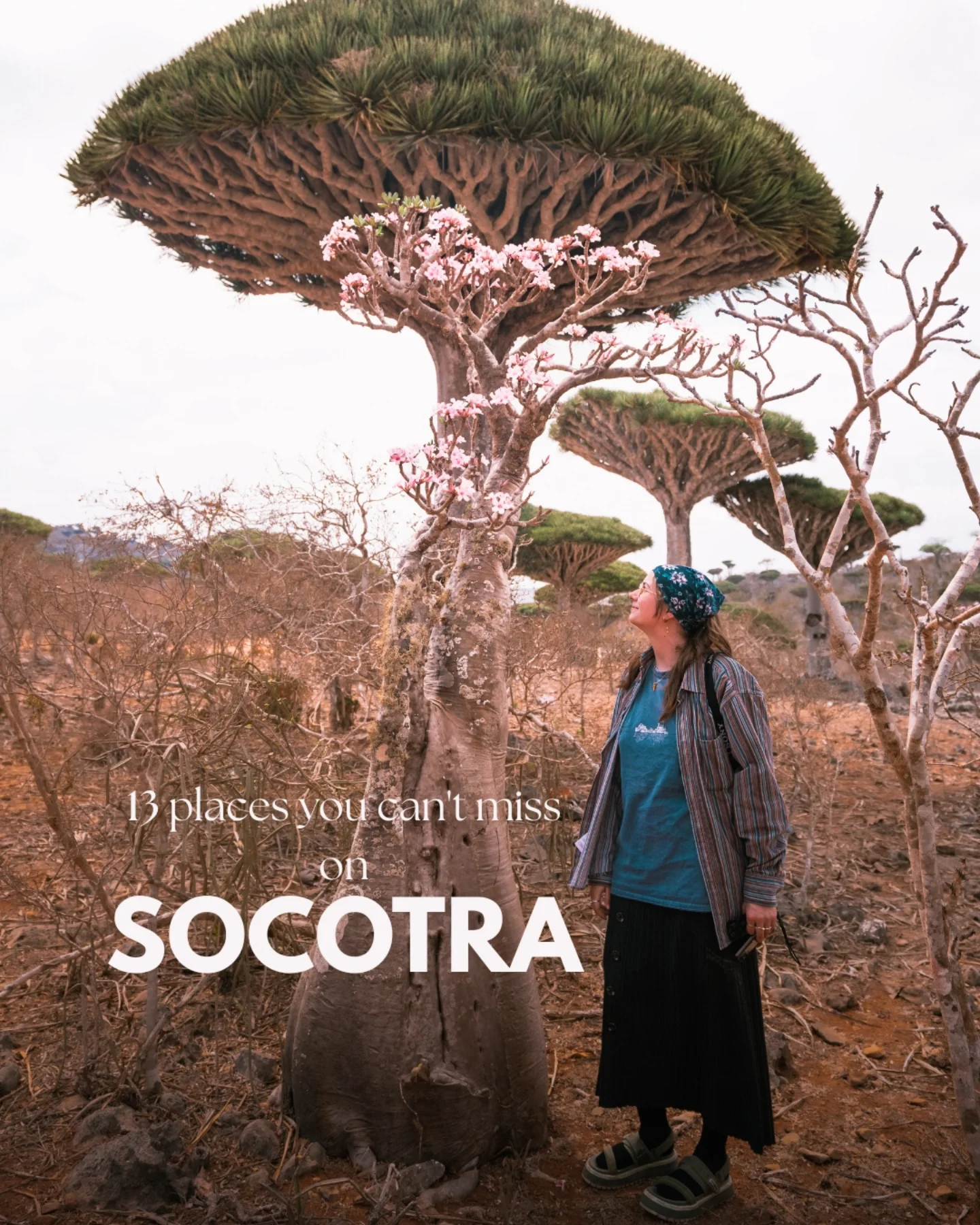 Socotra Island's Natural Wonders and Hidden Gems