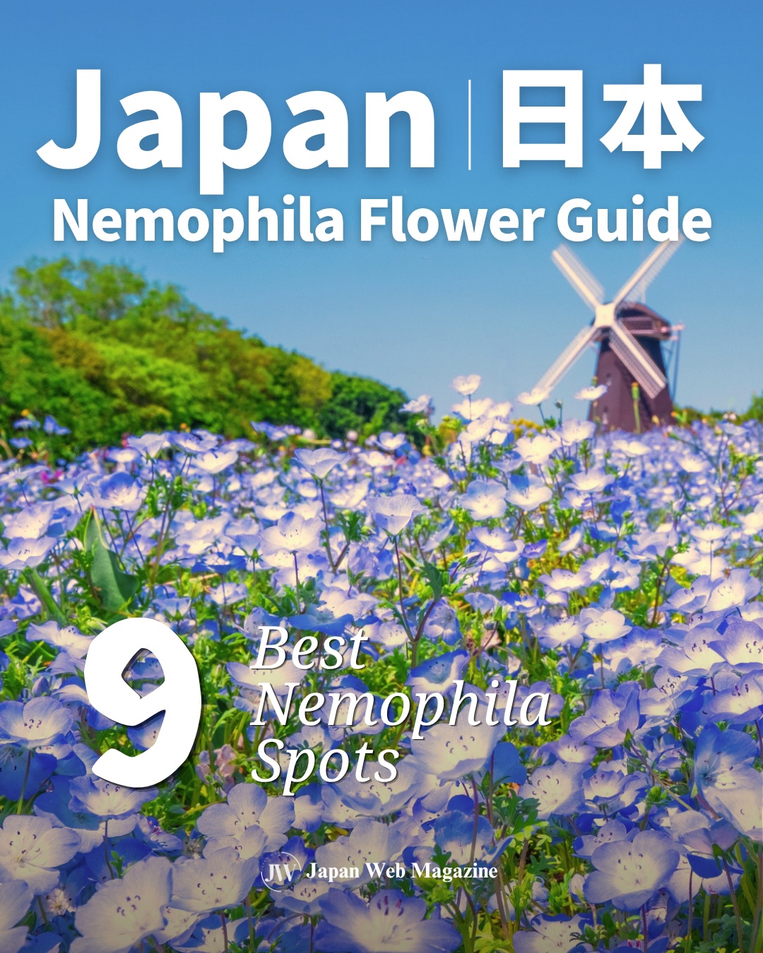 Japan's Top Nemophila Flower Viewing Parks