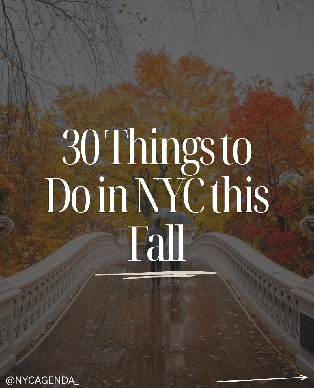 NYC Fall Activities Guide: Foliage, Food, and Day Trips