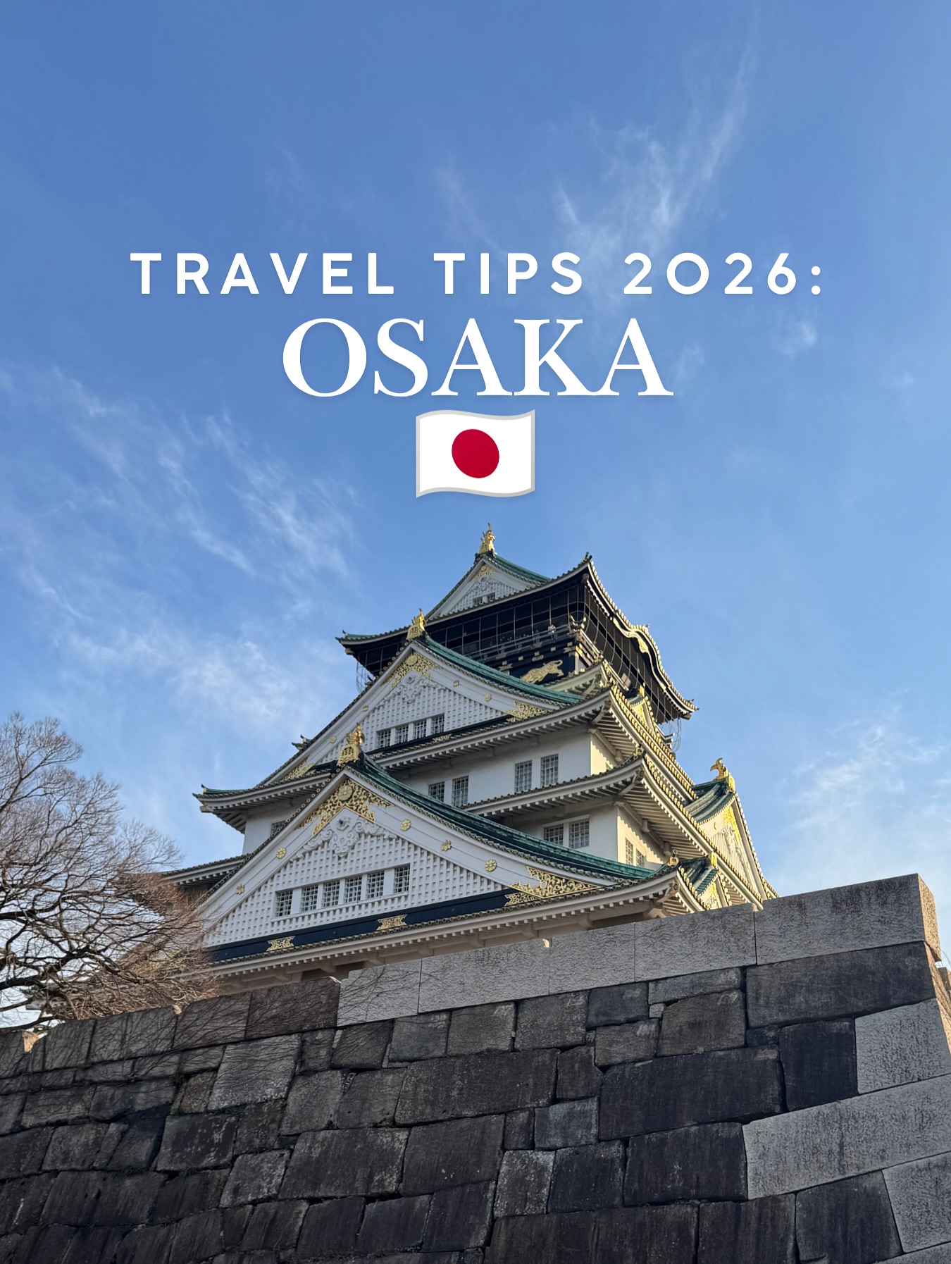 Osaka Attractions Food And Accommodation Guide