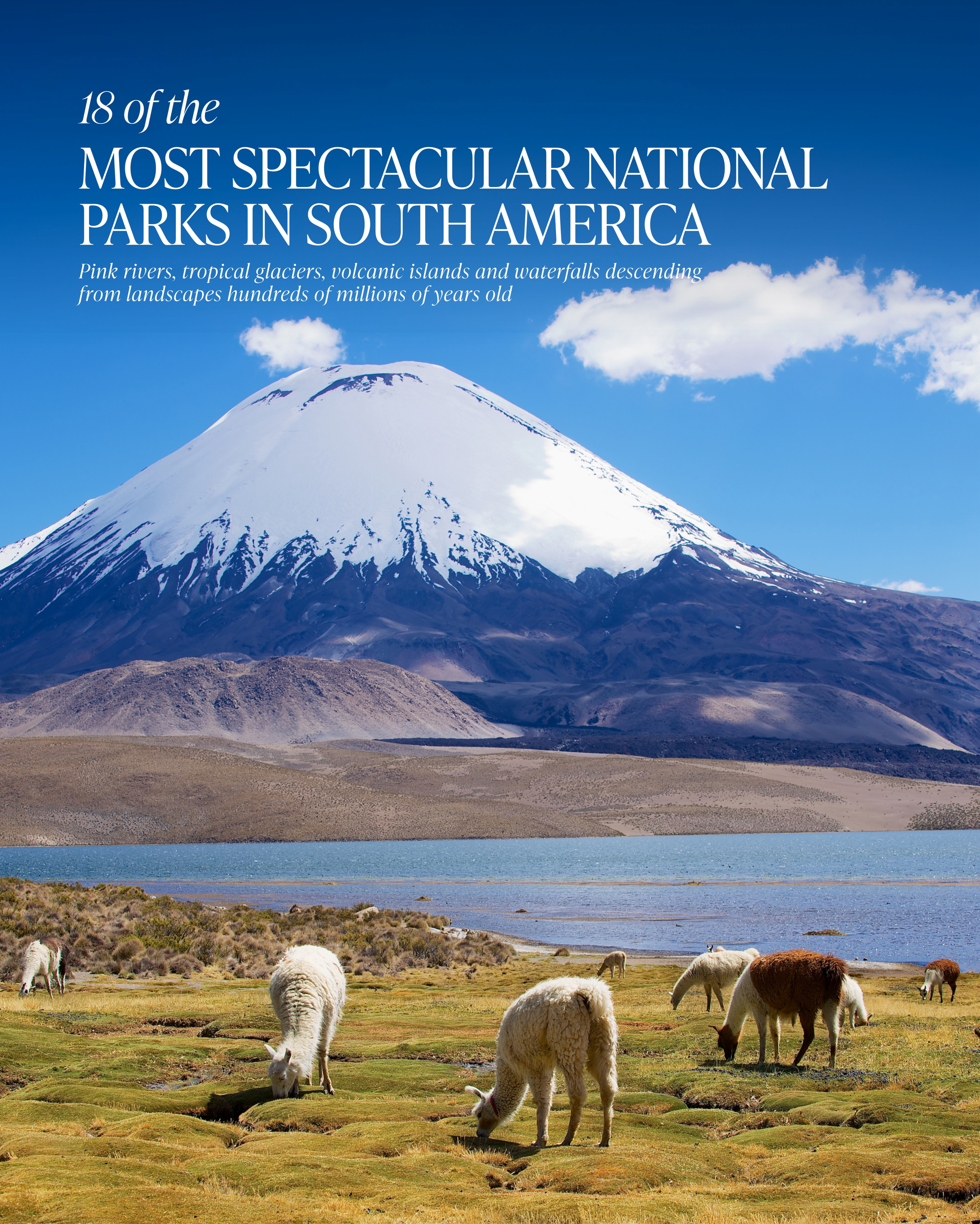 South American National Parks: Diverse Ecosystems