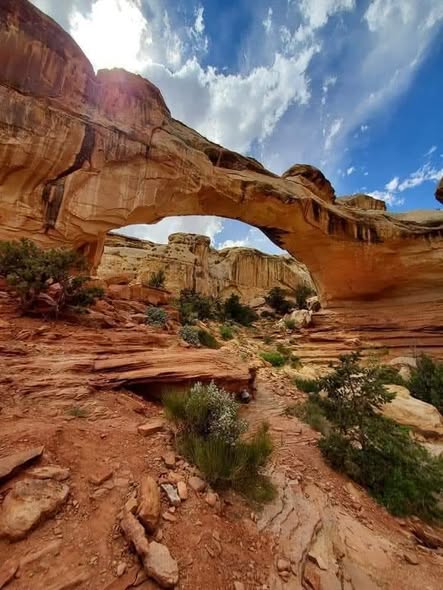 Capitol Reef National Park Attractions