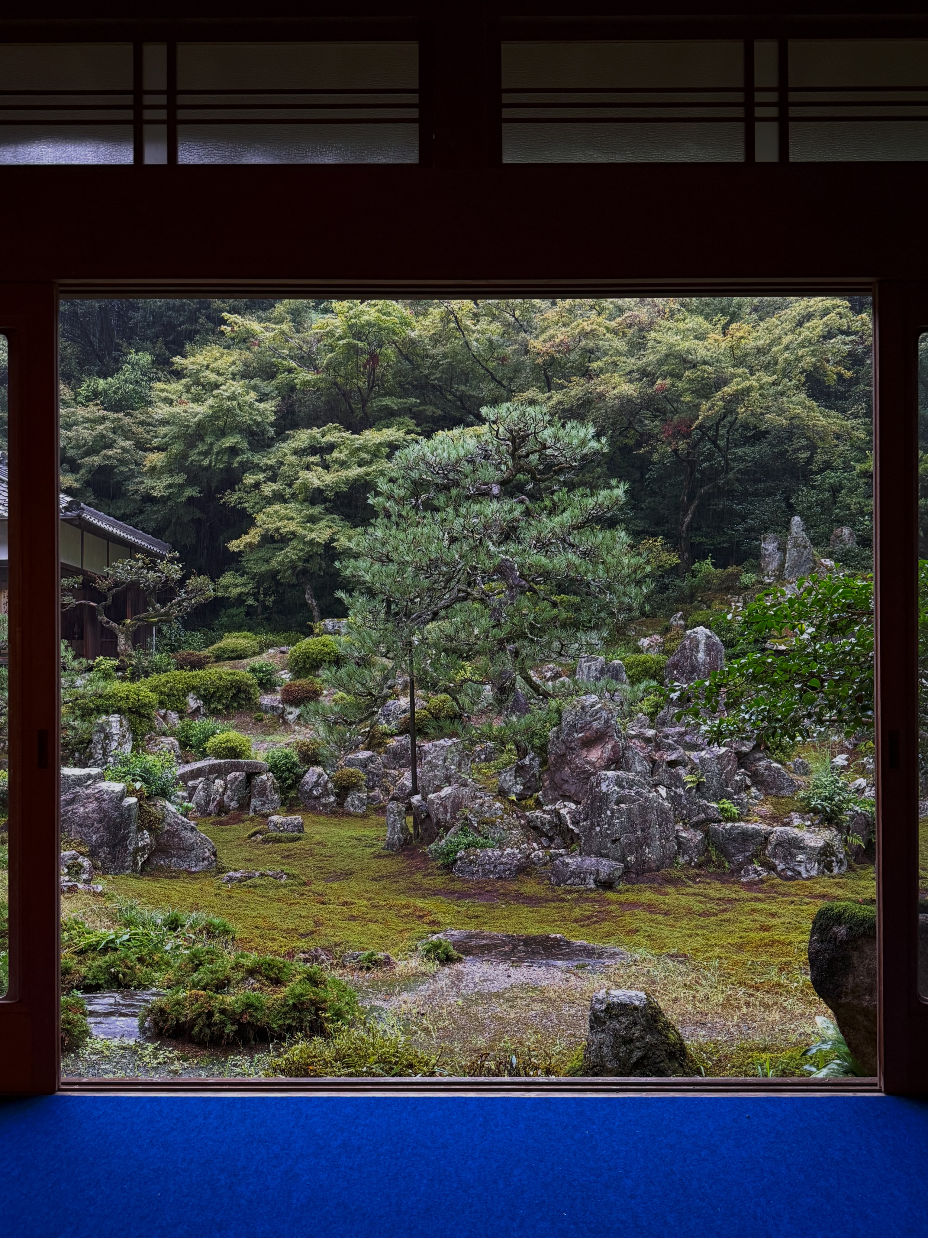 Shiga's Seiganji Temple Garden: A Rainy Day Gem