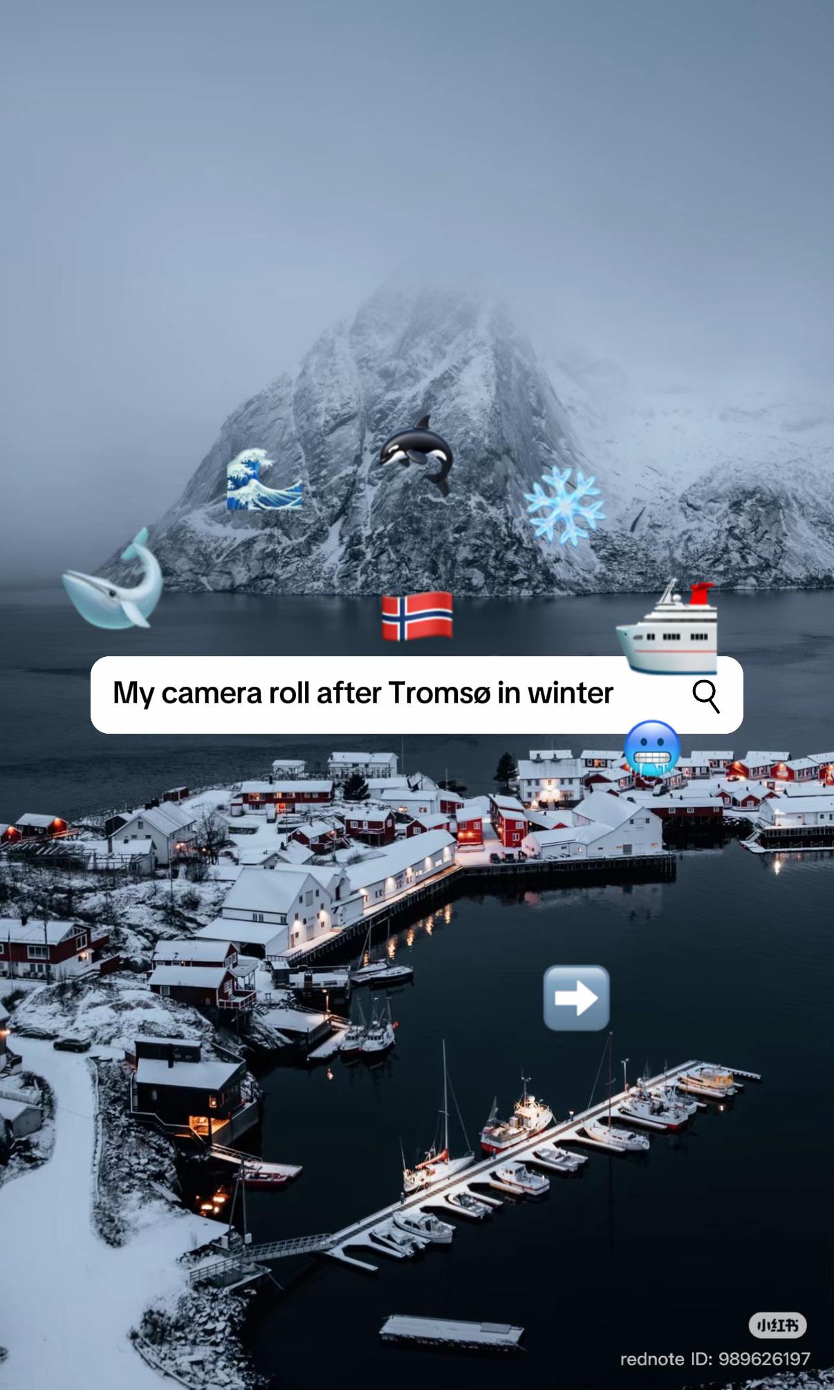 Winter Wonders of Tromsø and Lofoten