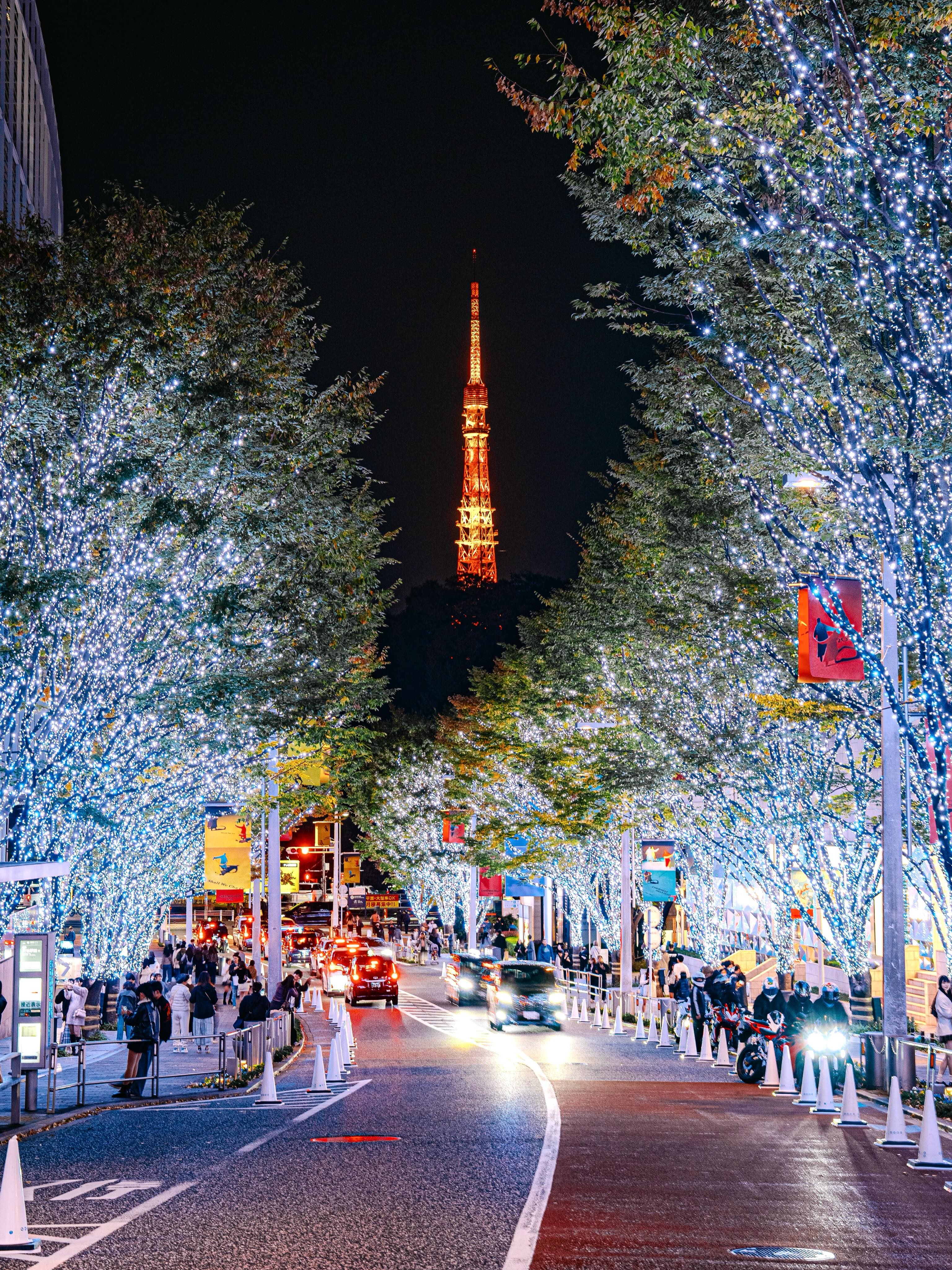 Tokyo's Dazzling Winter Light Displays