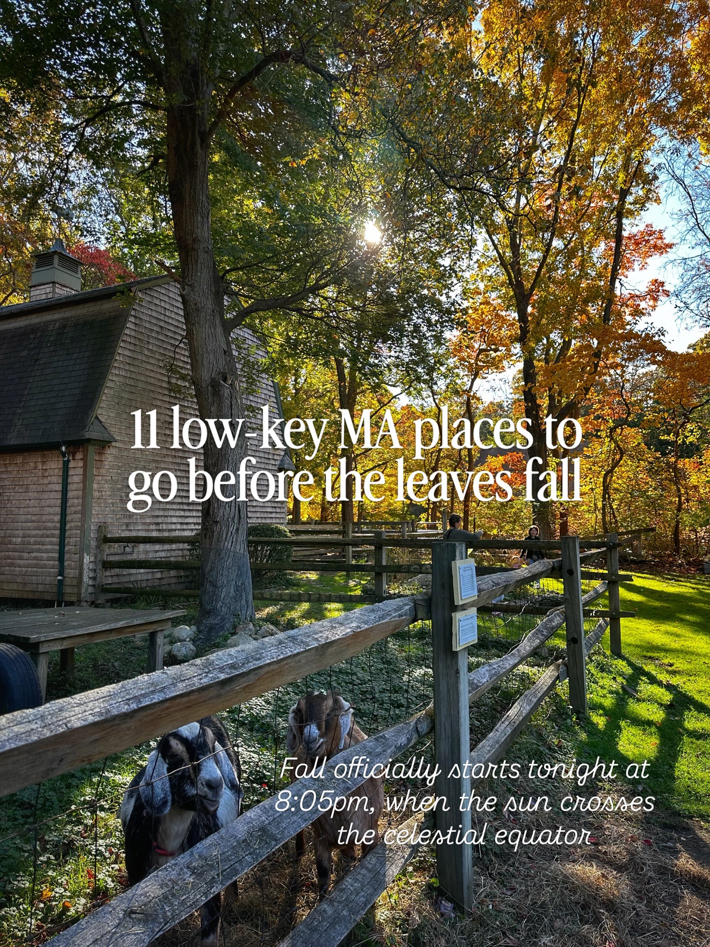 Massachusetts Fall Foliage Destinations Before Season's End