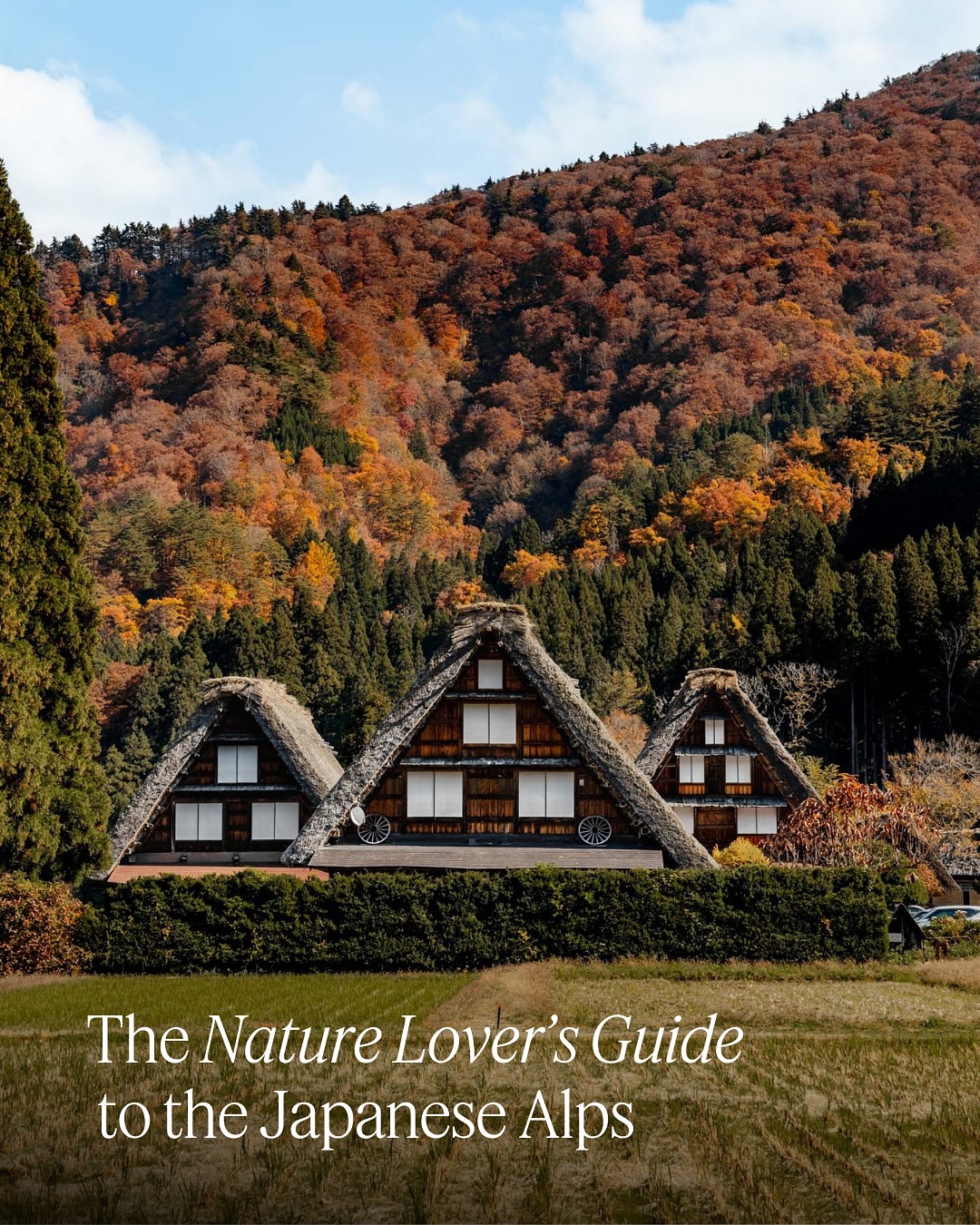 Japanese Alps: Shrines, Valleys, and Traditional Villages