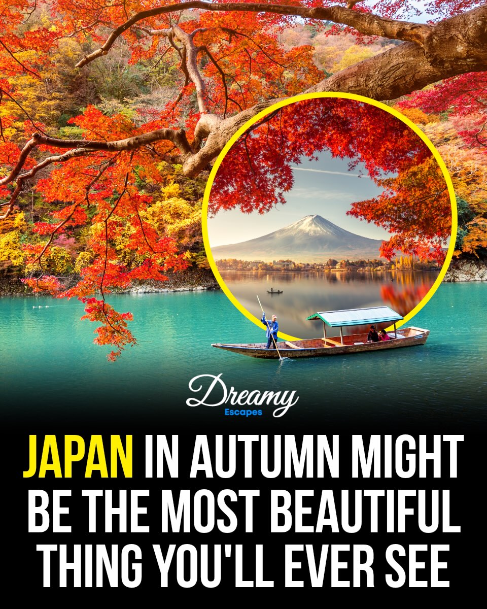 Autumnal Beauty Of Japan's Scenic Spots
