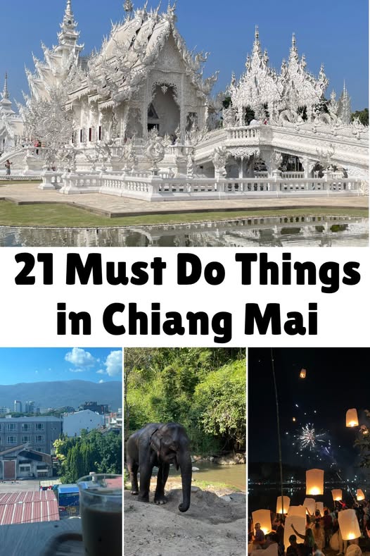 Chiang Mai's White Temple And Elephant Park