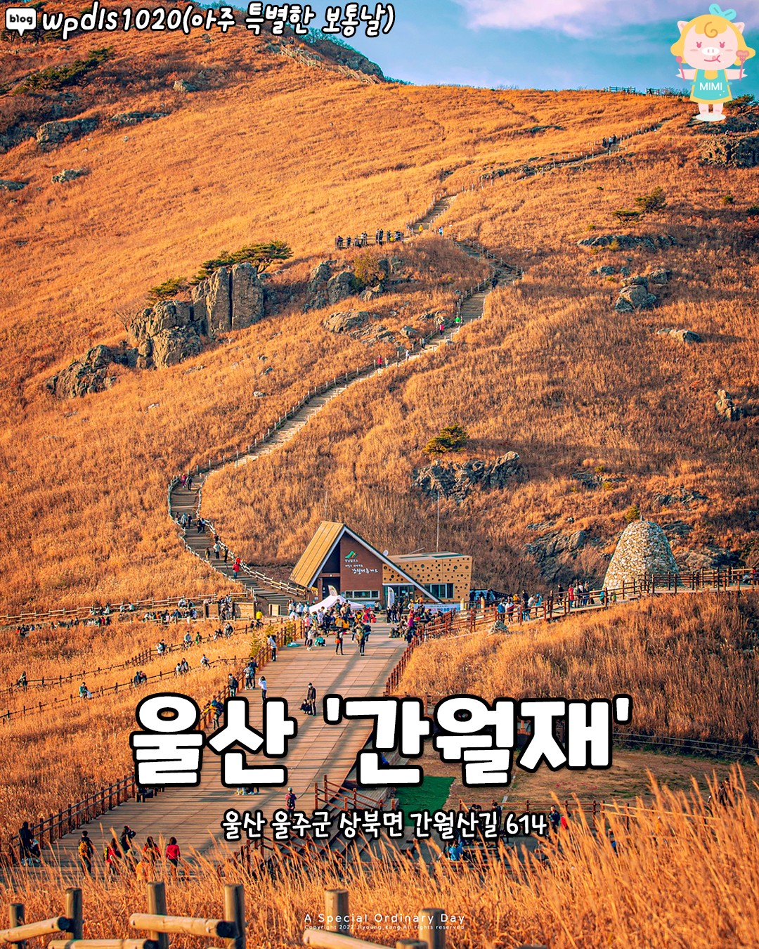 Ganwoljae's Autumn Silver Grass Fields