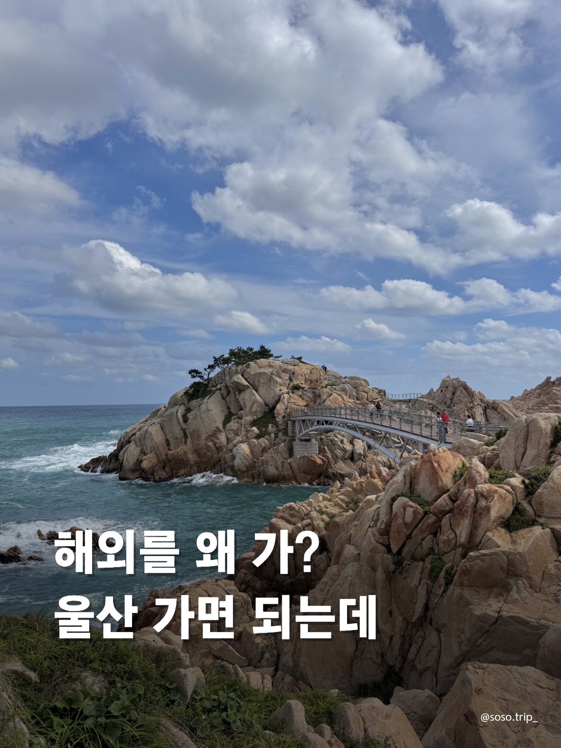 Ulsan Attractions: Parks, Cafes, and Scenic Spots
