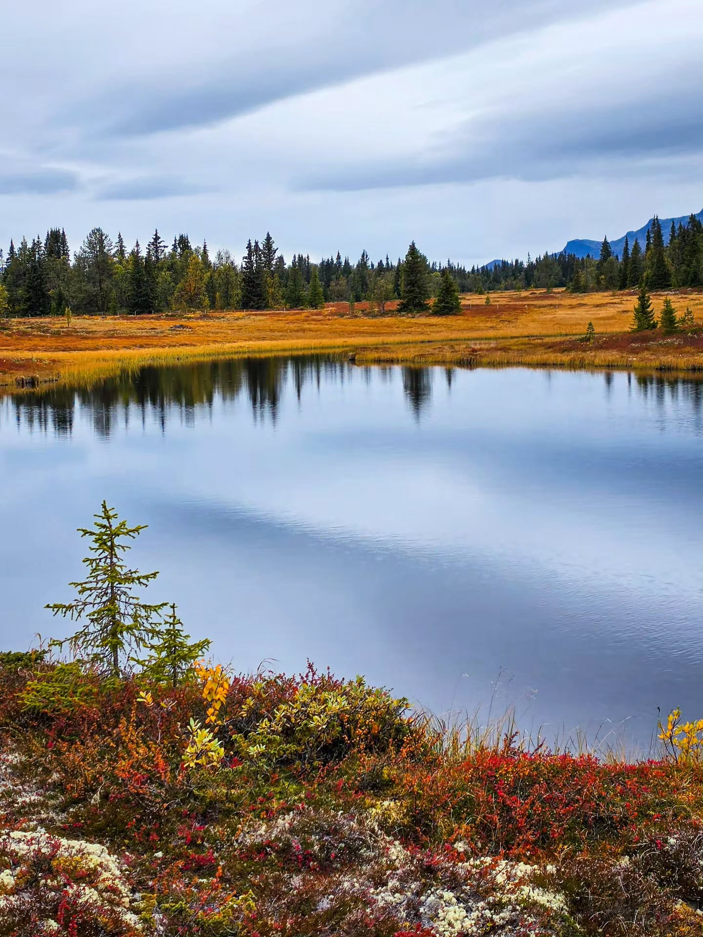 Autumn Lake Views and Foliage in Norway