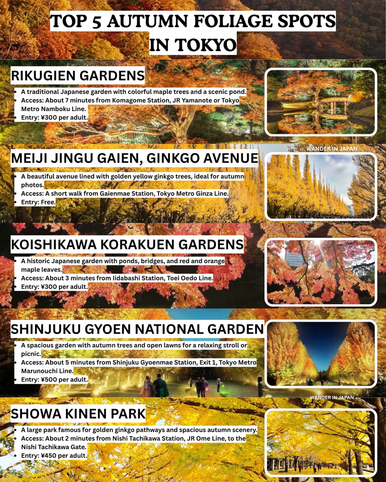 Tokyo's Top Five Beautiful Gardens