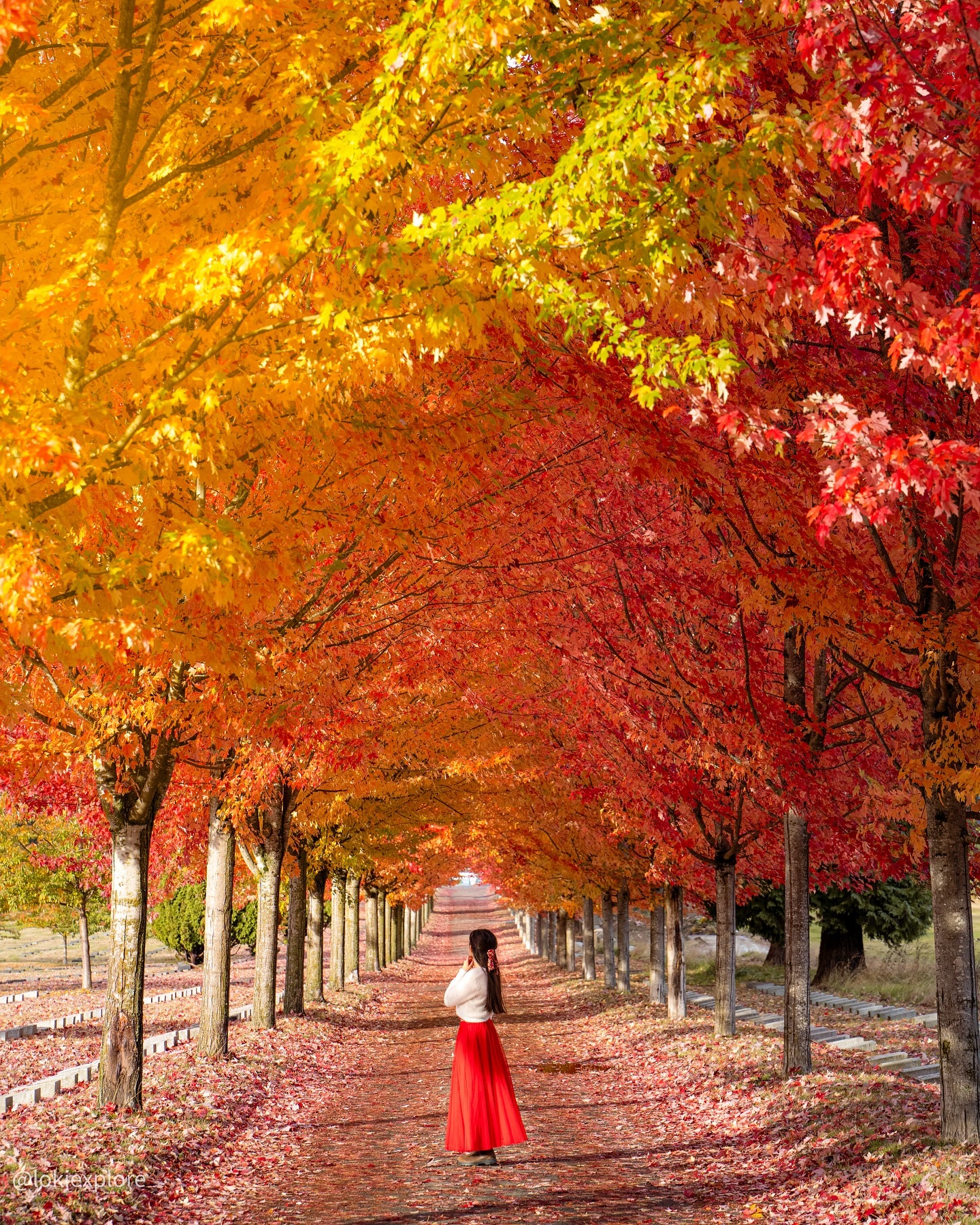 Vancouver's Best Fall Color Viewing Spots