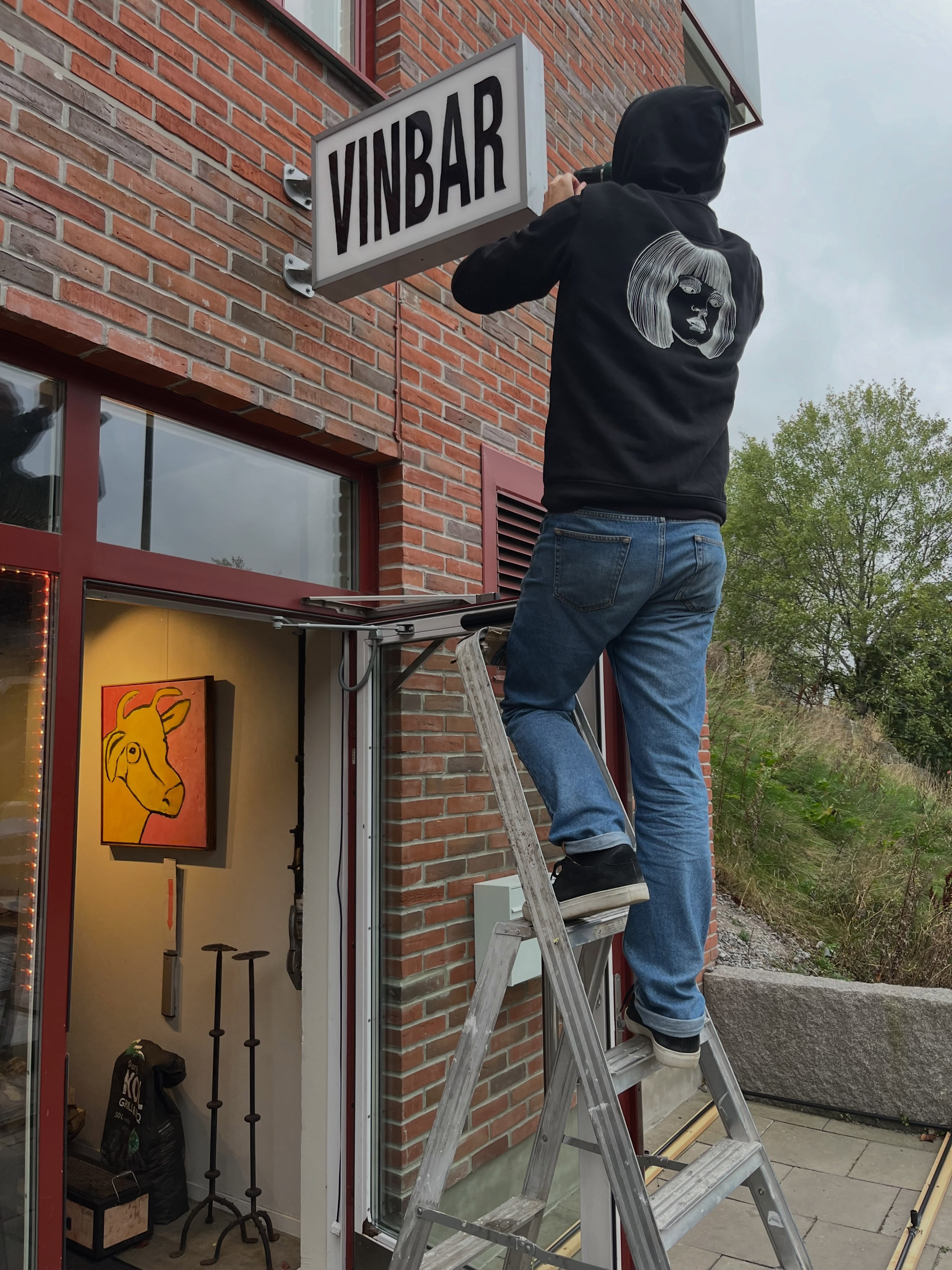 Vinbar and Bar Installation