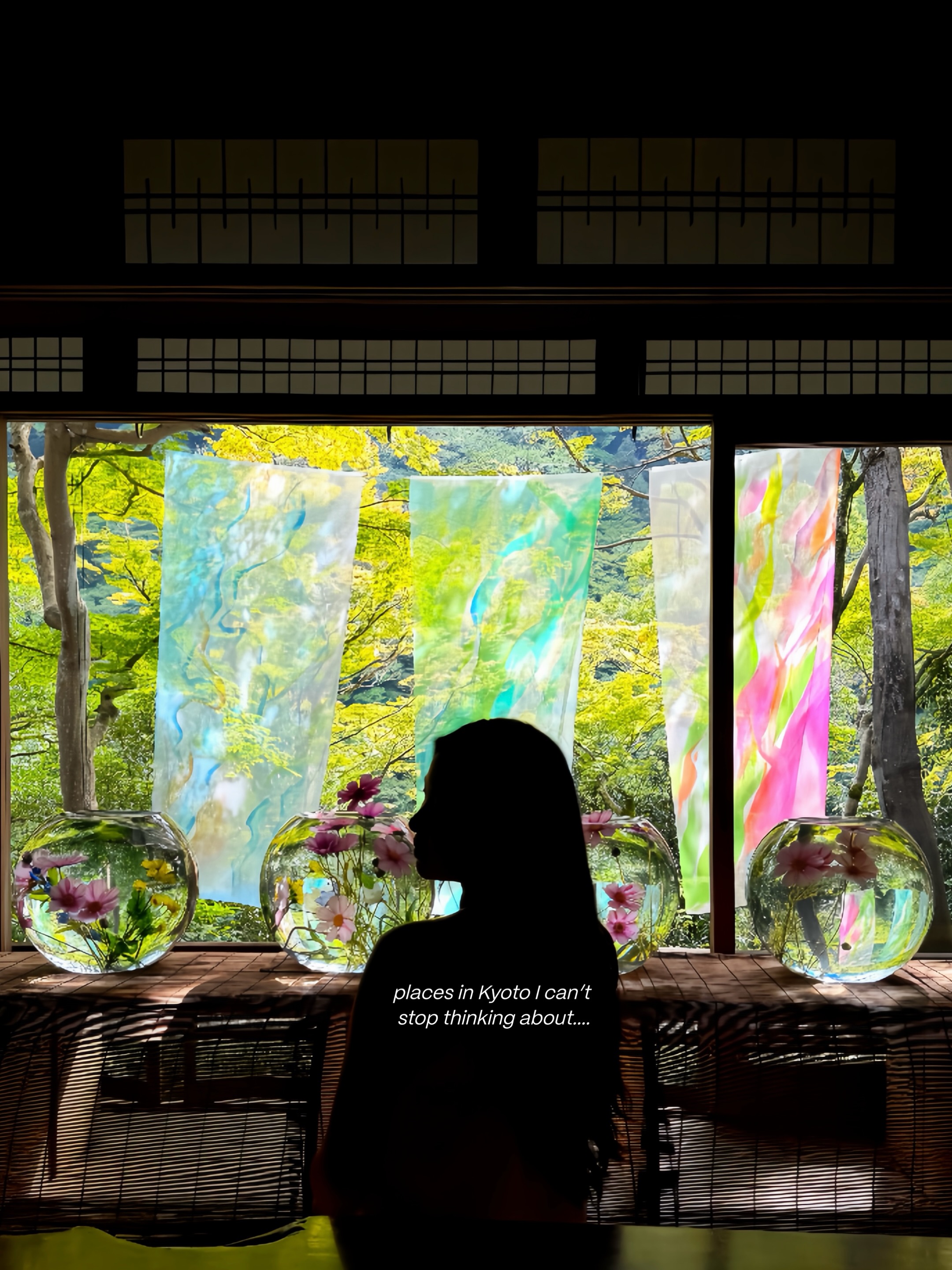 Kyoto's Temples, Streets, and Artful Nature